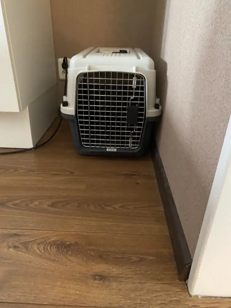image-19