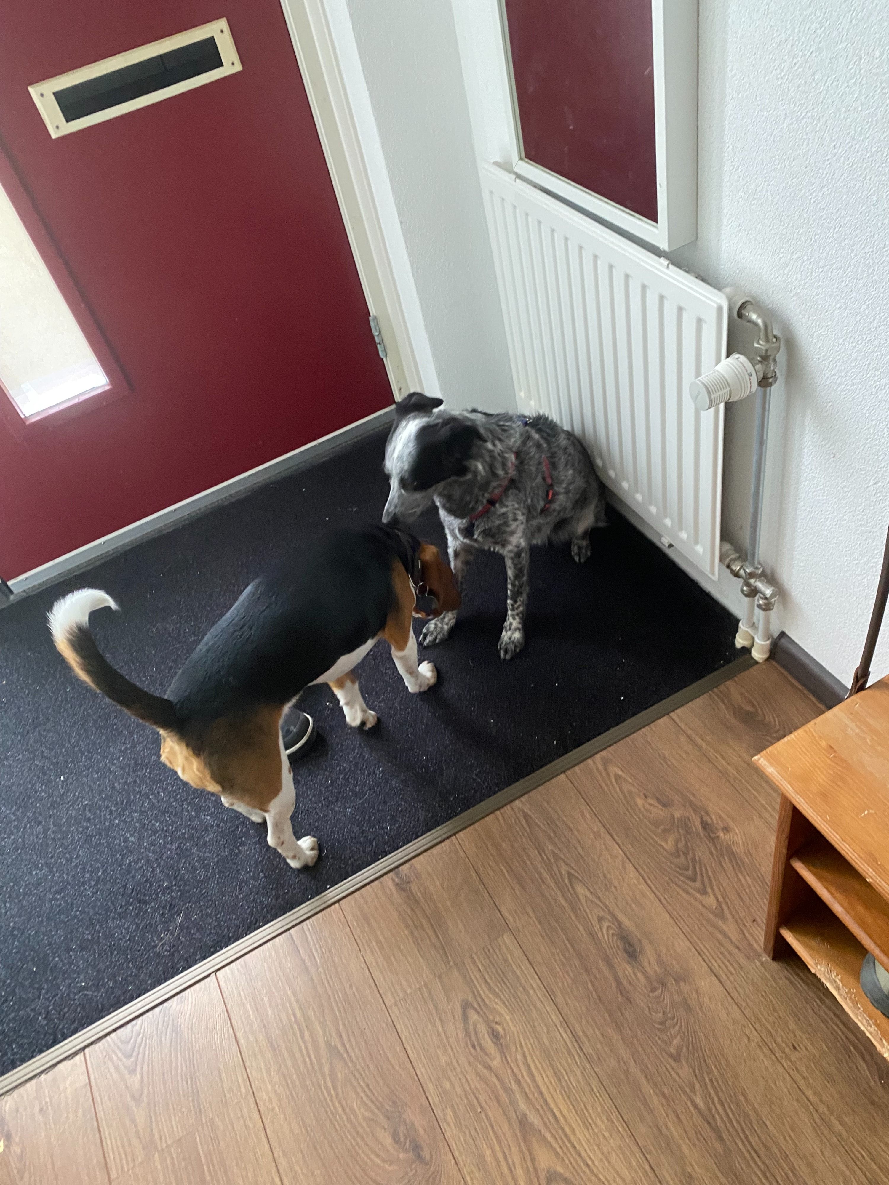 image-27