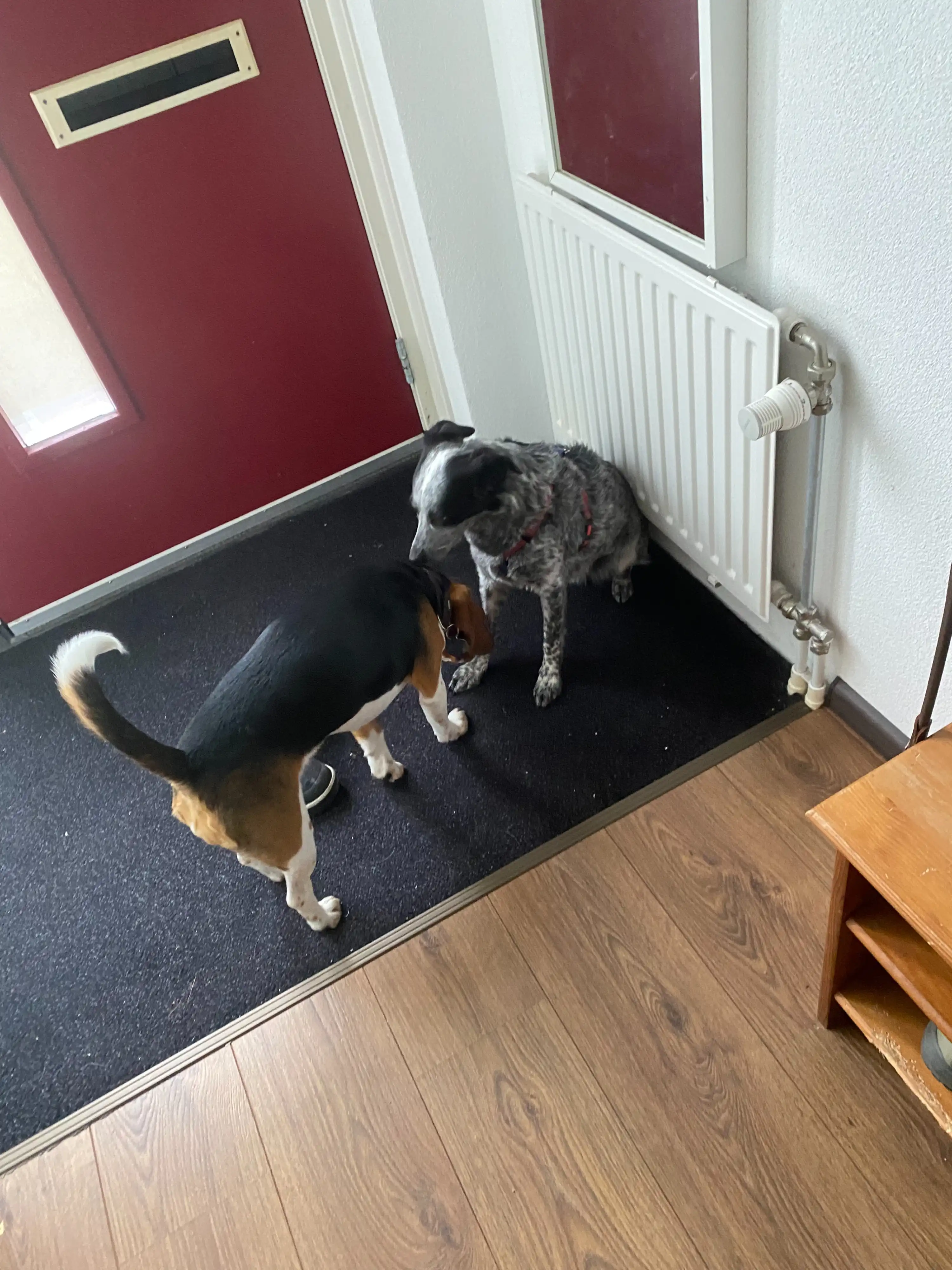 image-27