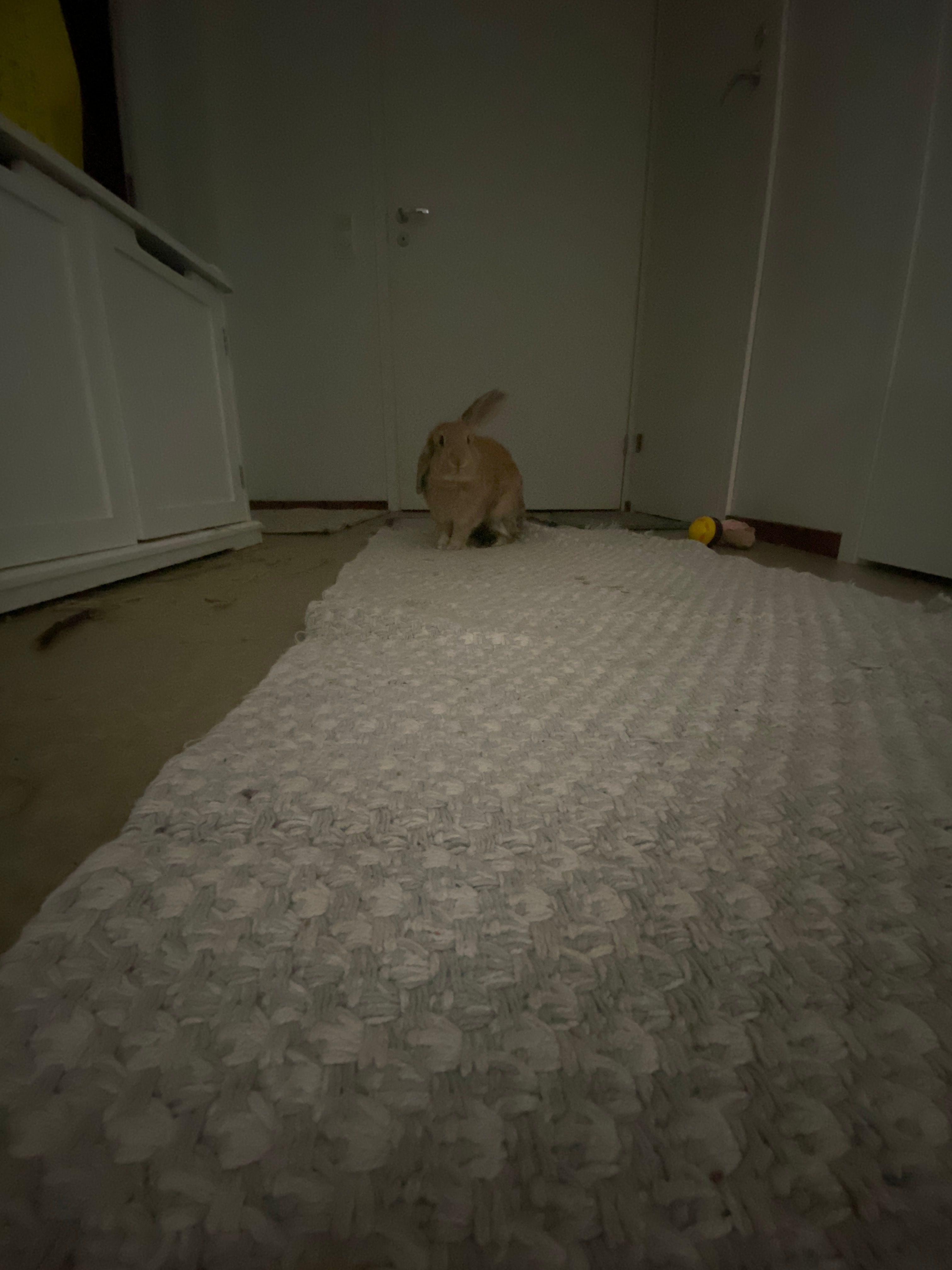 image-7