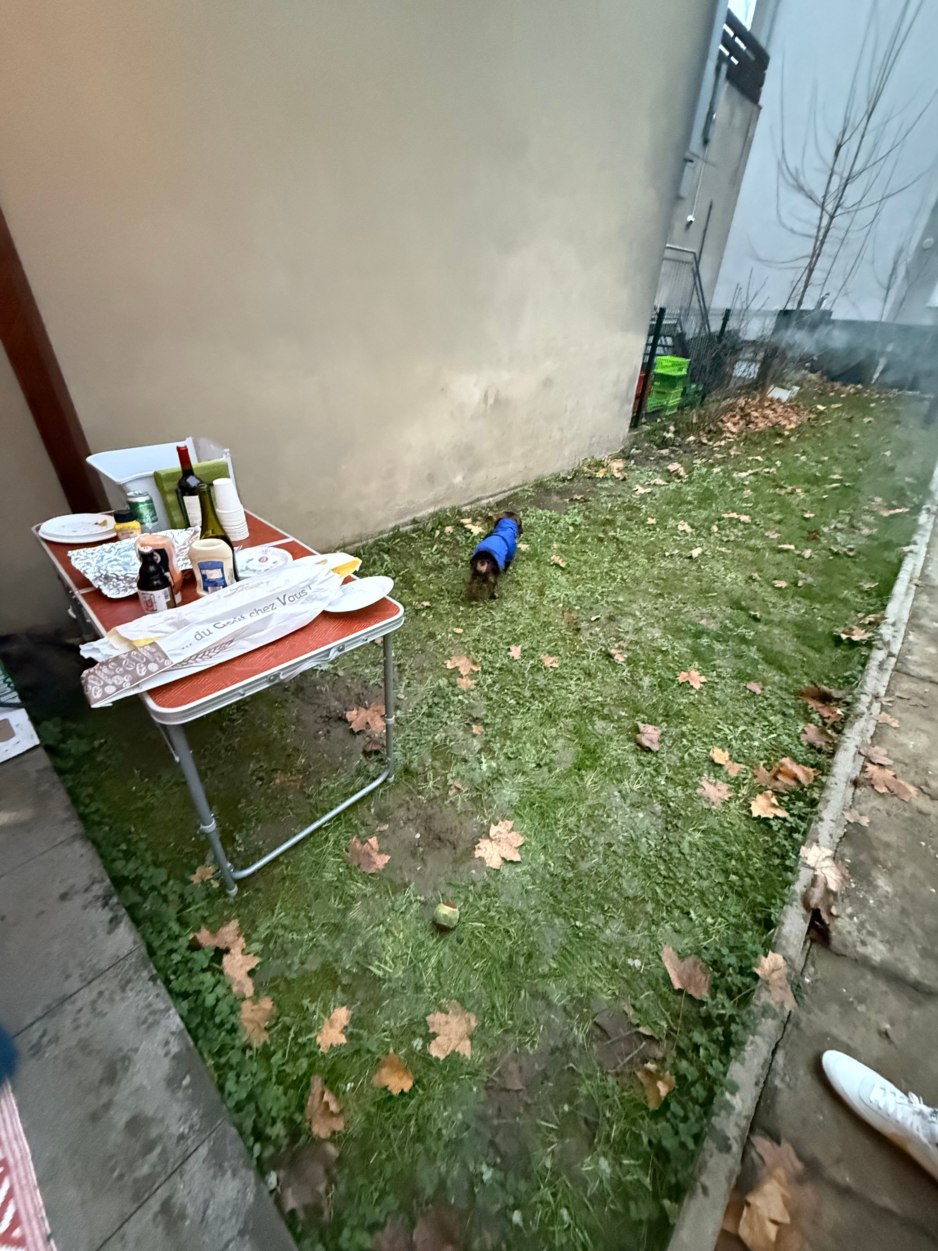 image-14