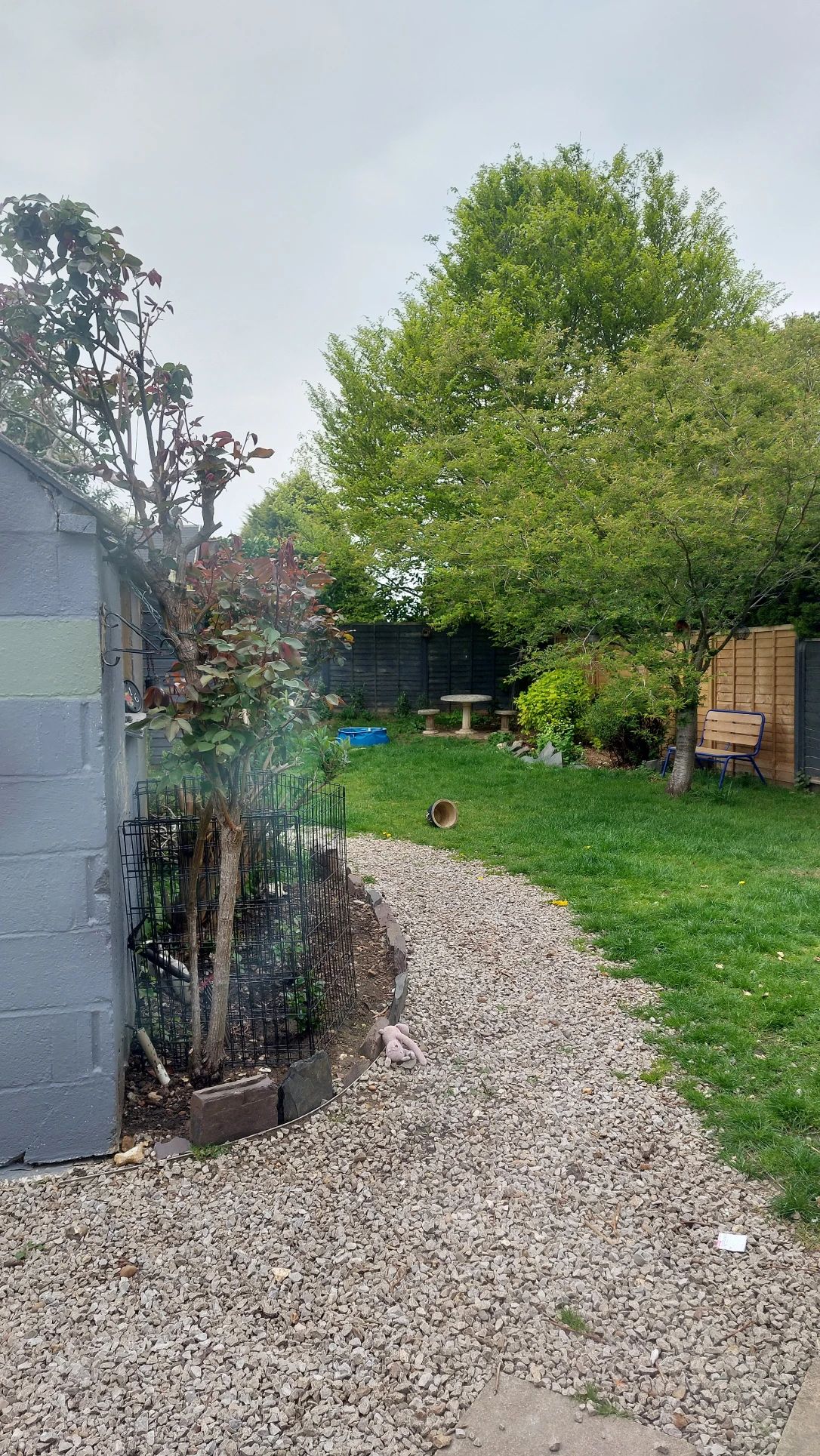 image-9