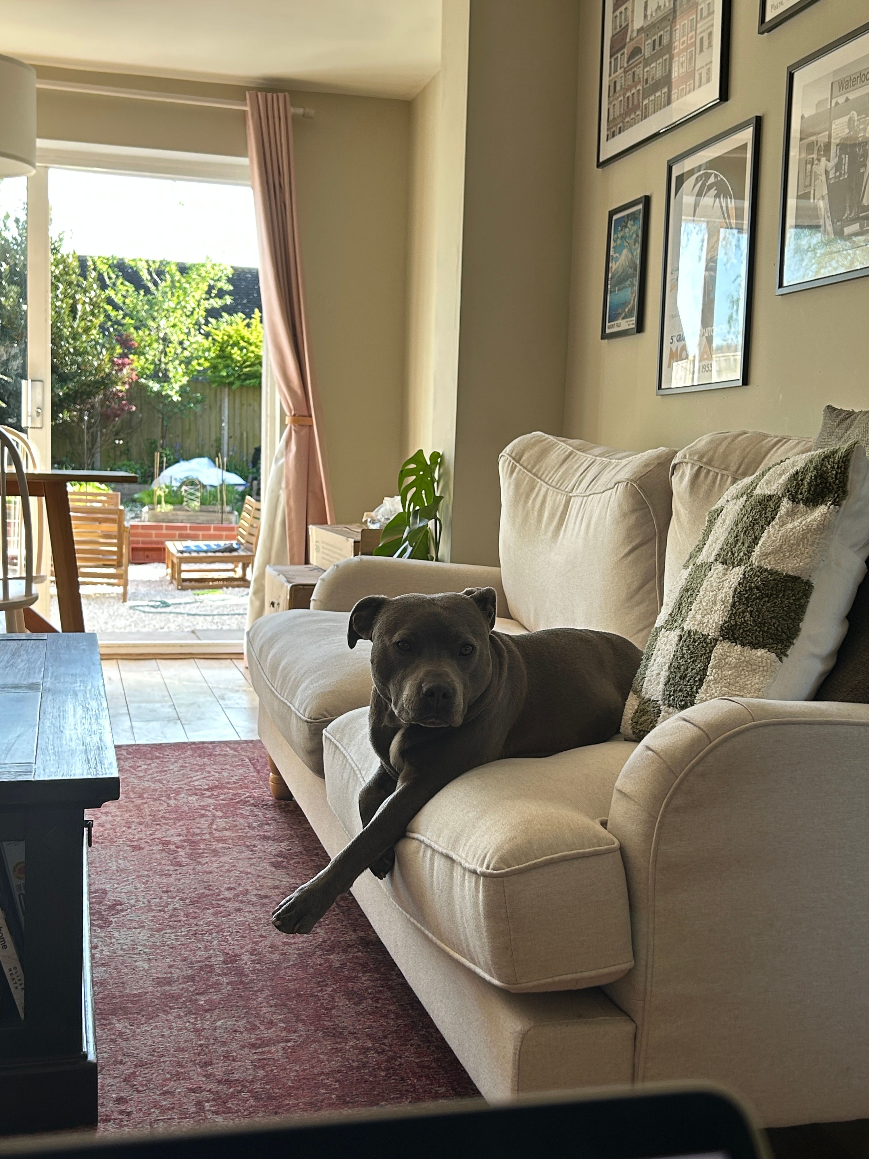 image-19