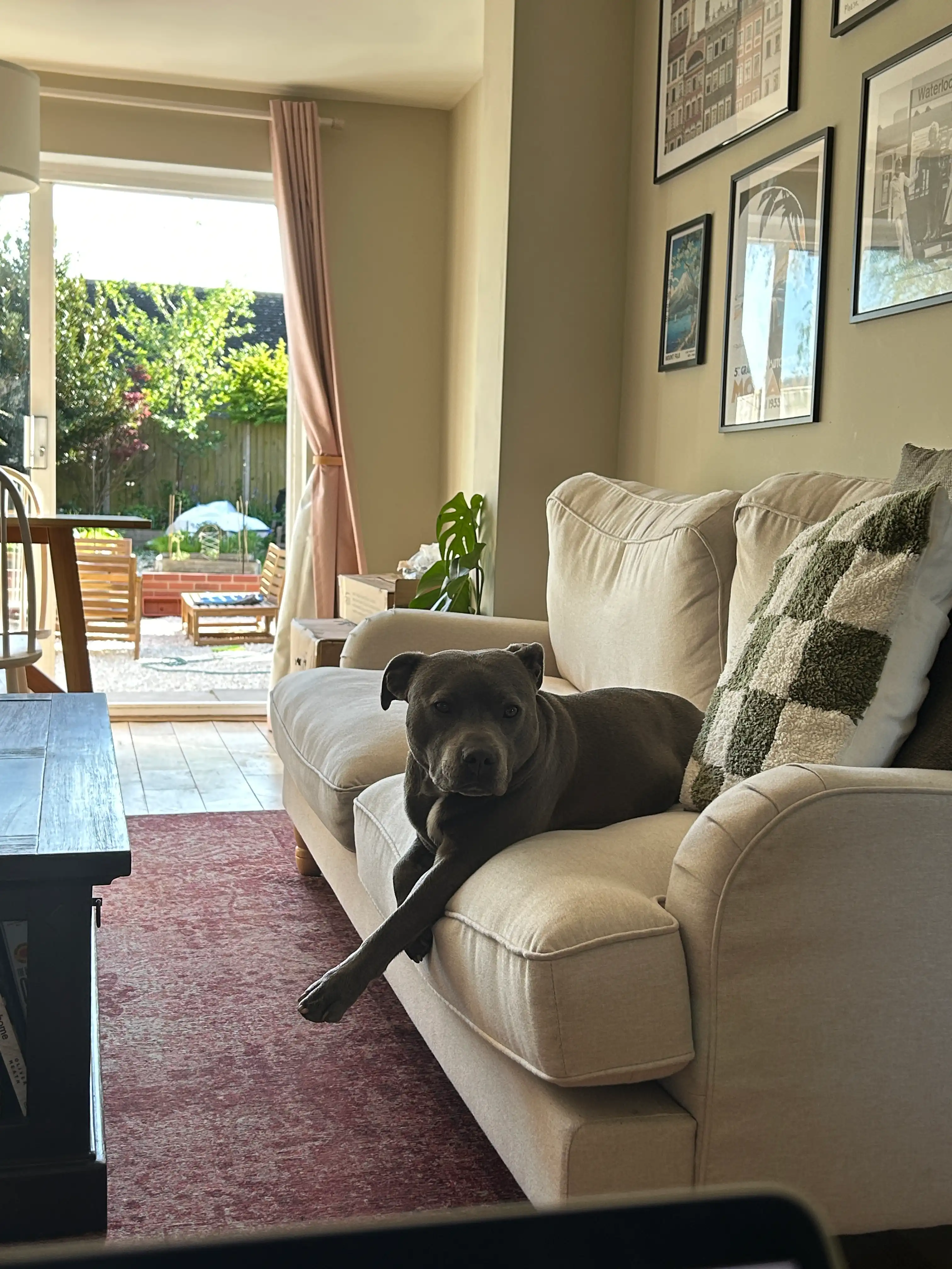 image-19