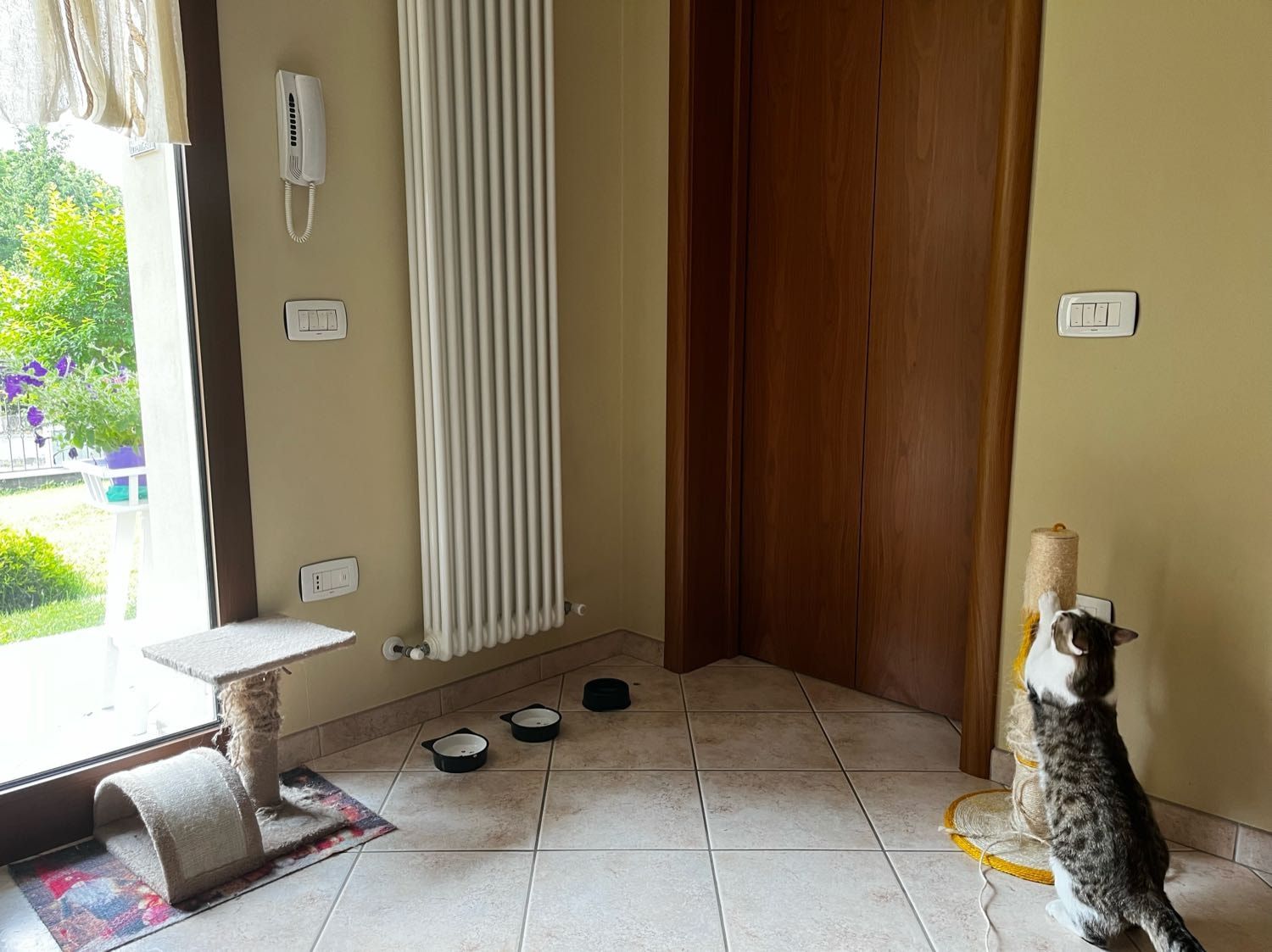 image-5