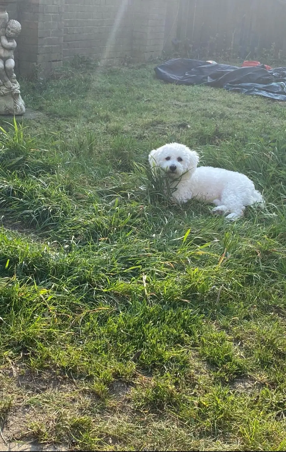 image-3