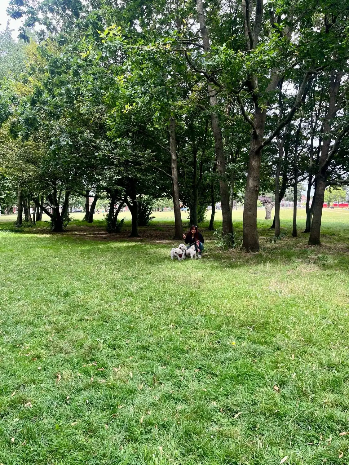 image-6