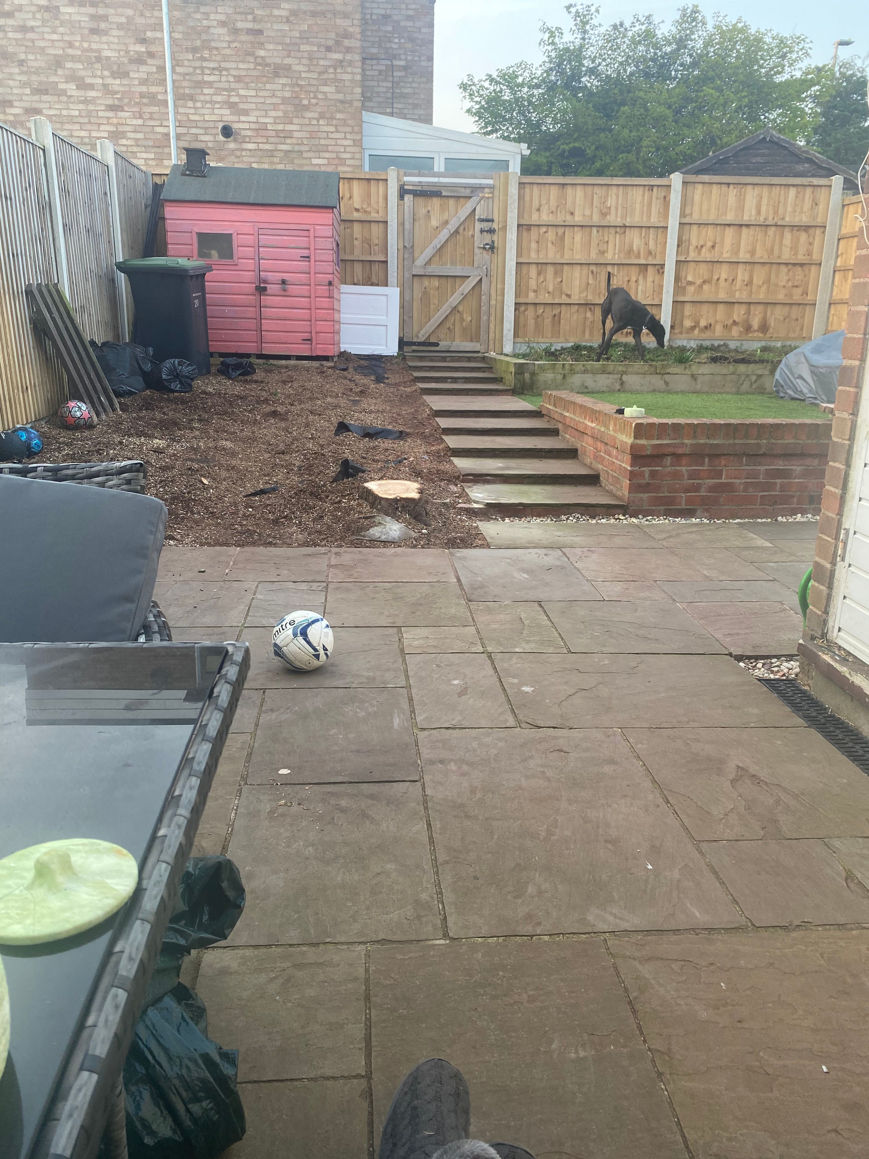 image-17