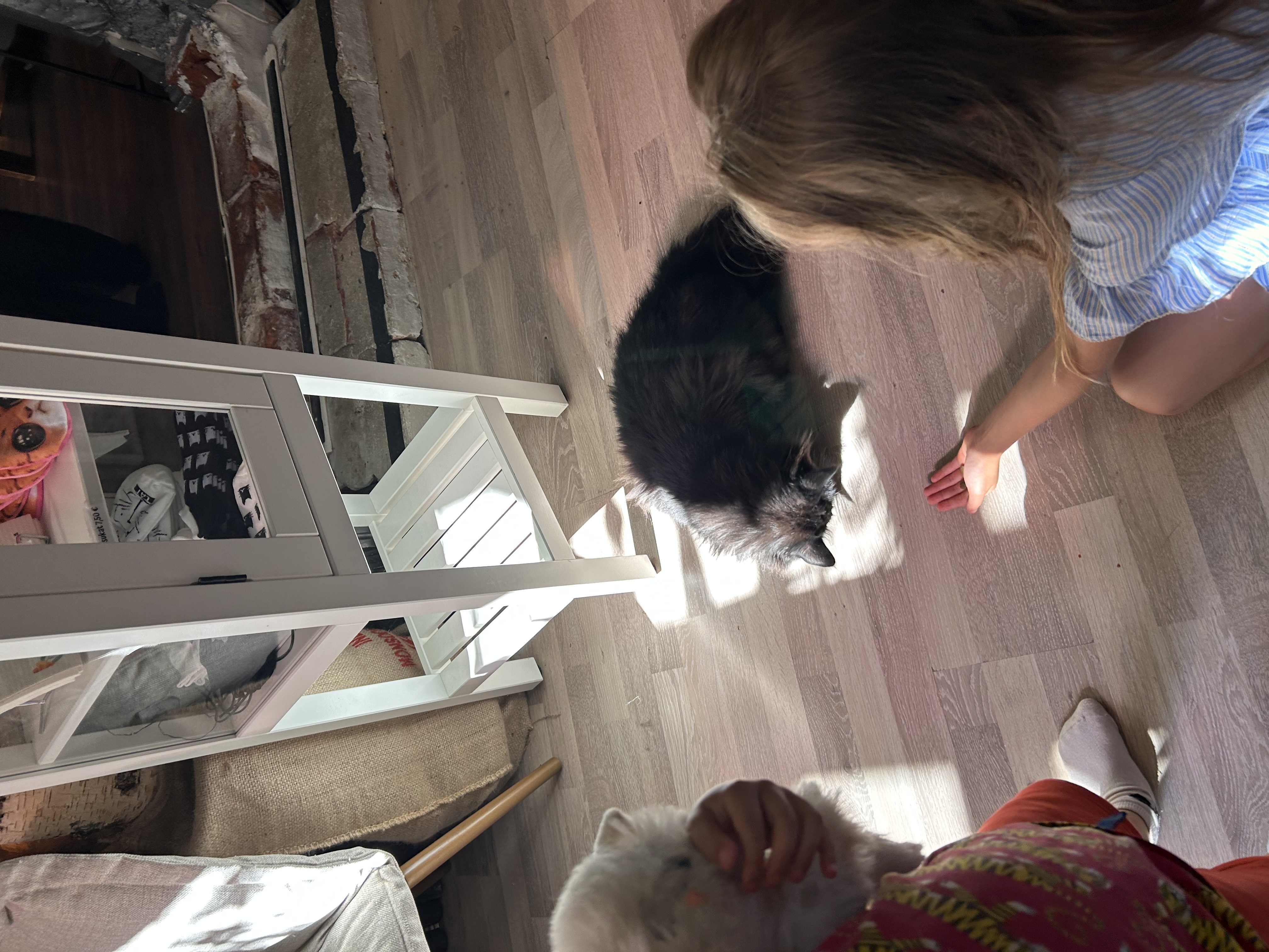 image-7