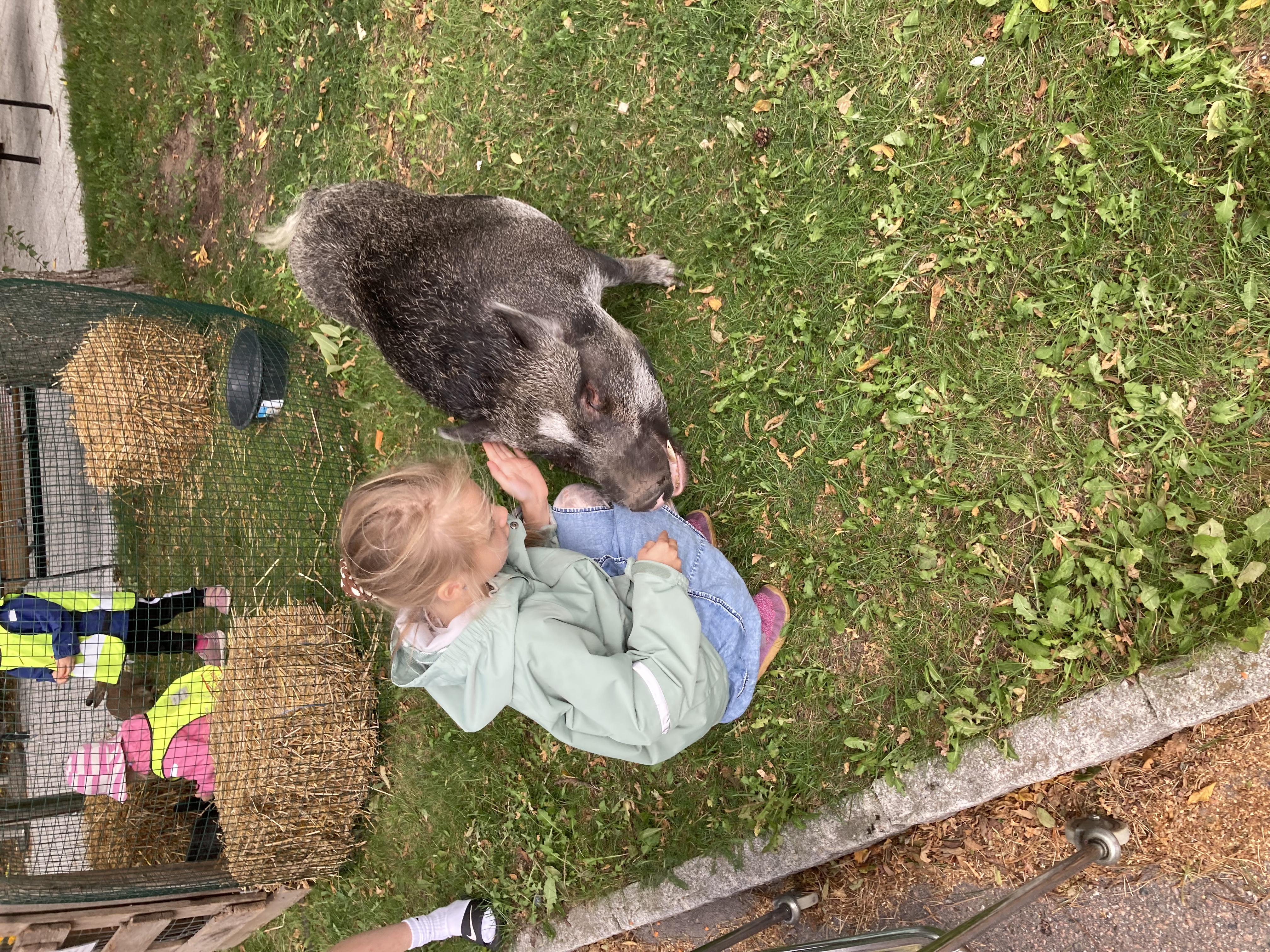 image-5