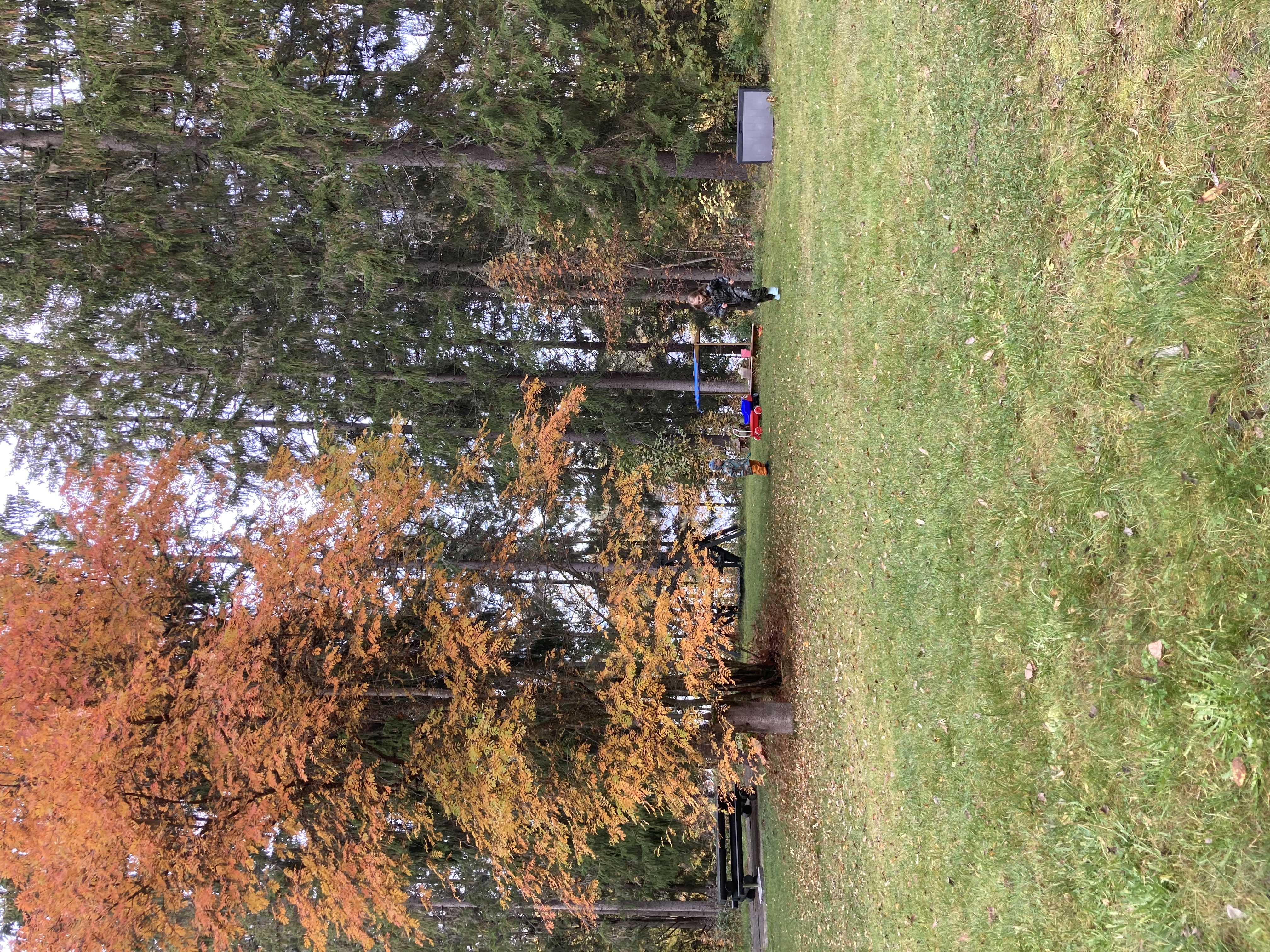 image-29