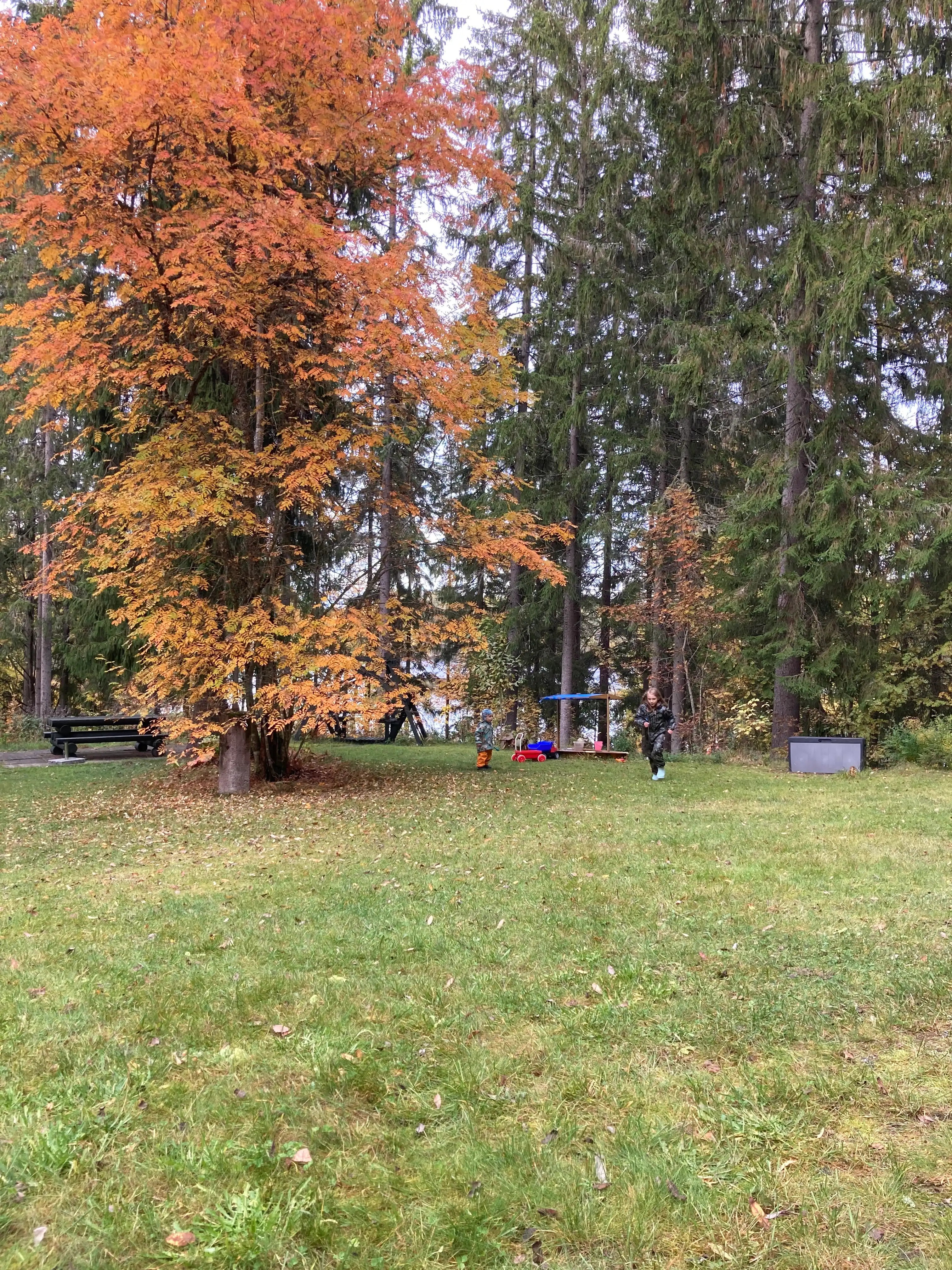 image-29
