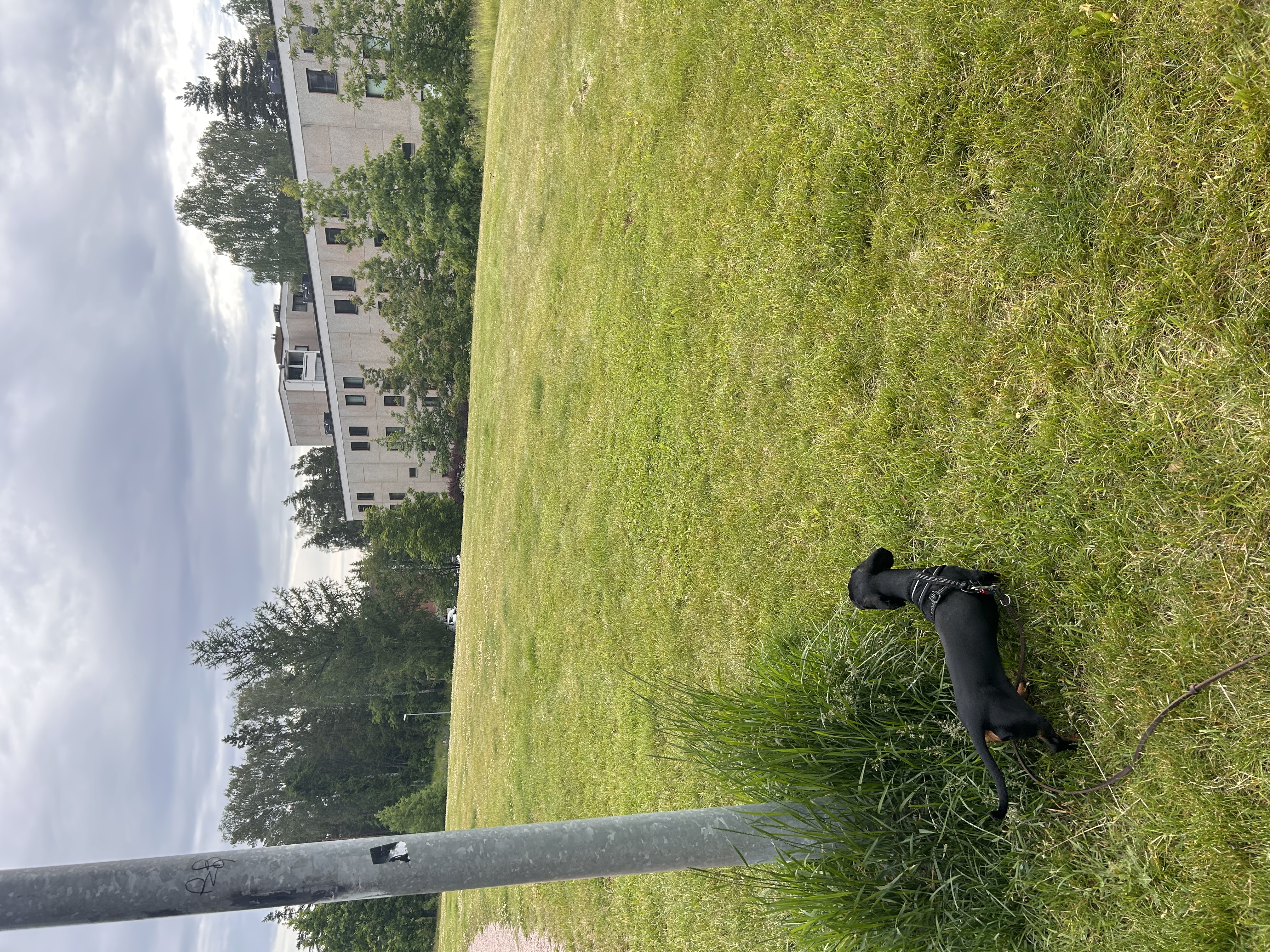 image-18