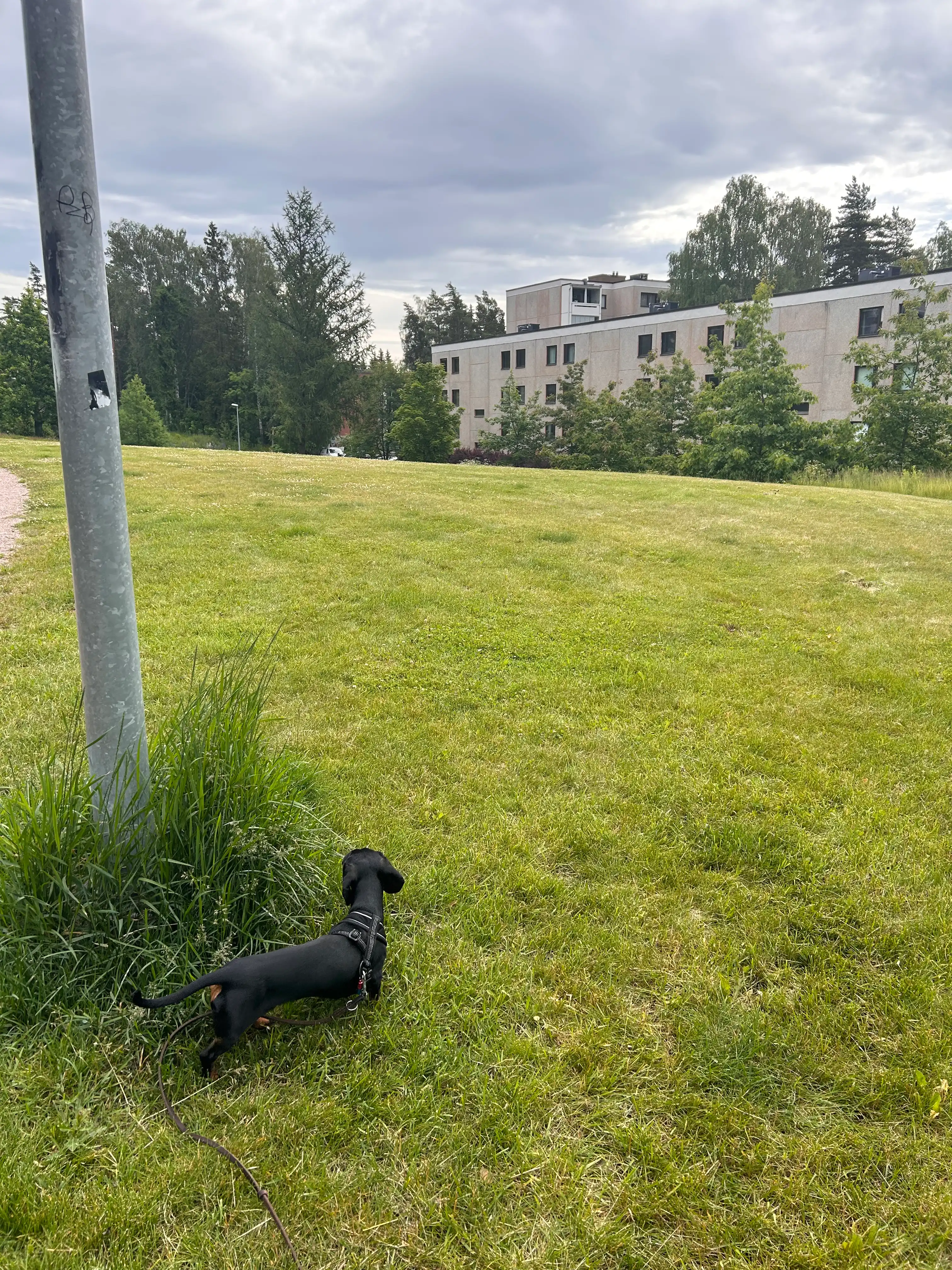 image-18