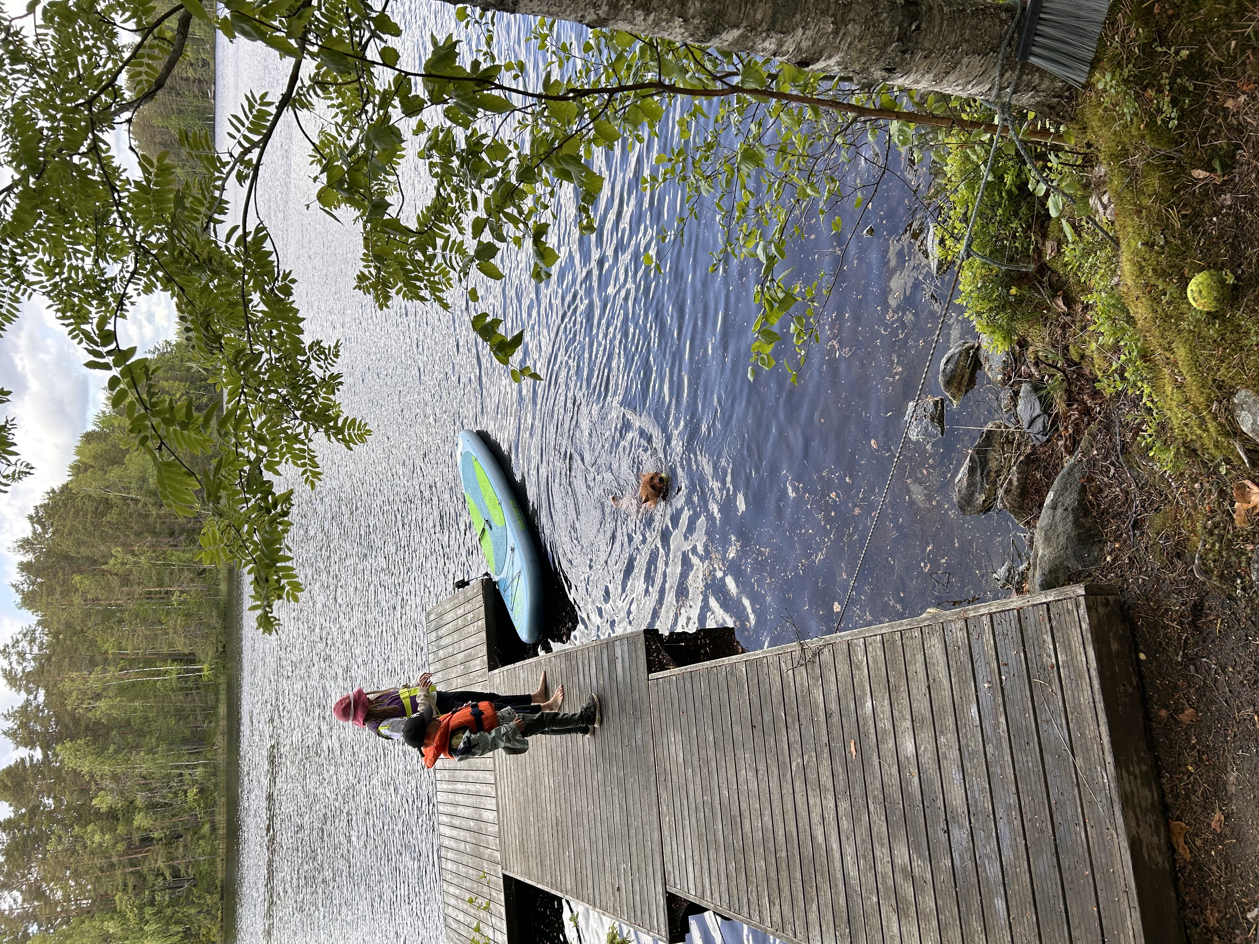image-17