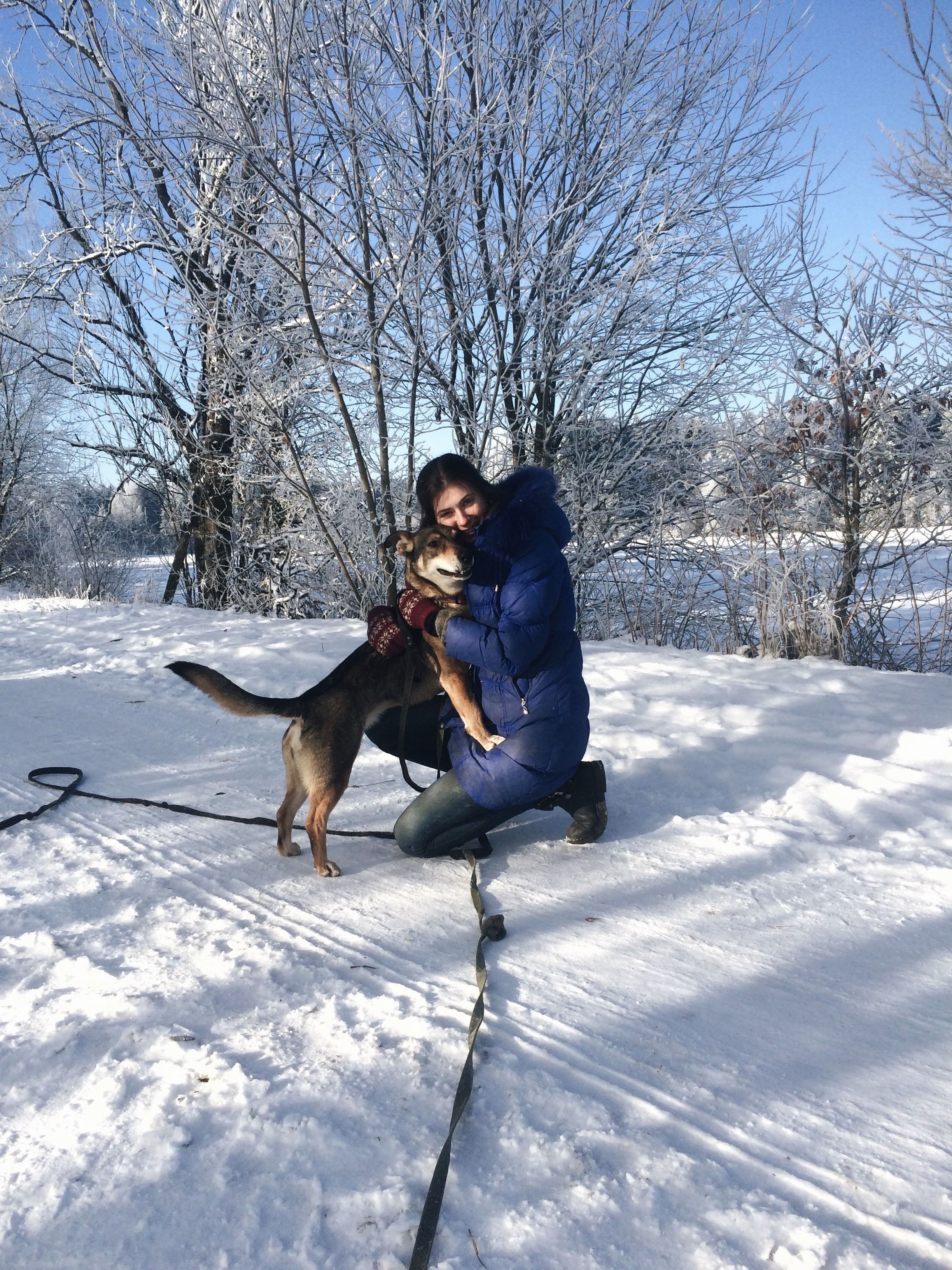 image-6