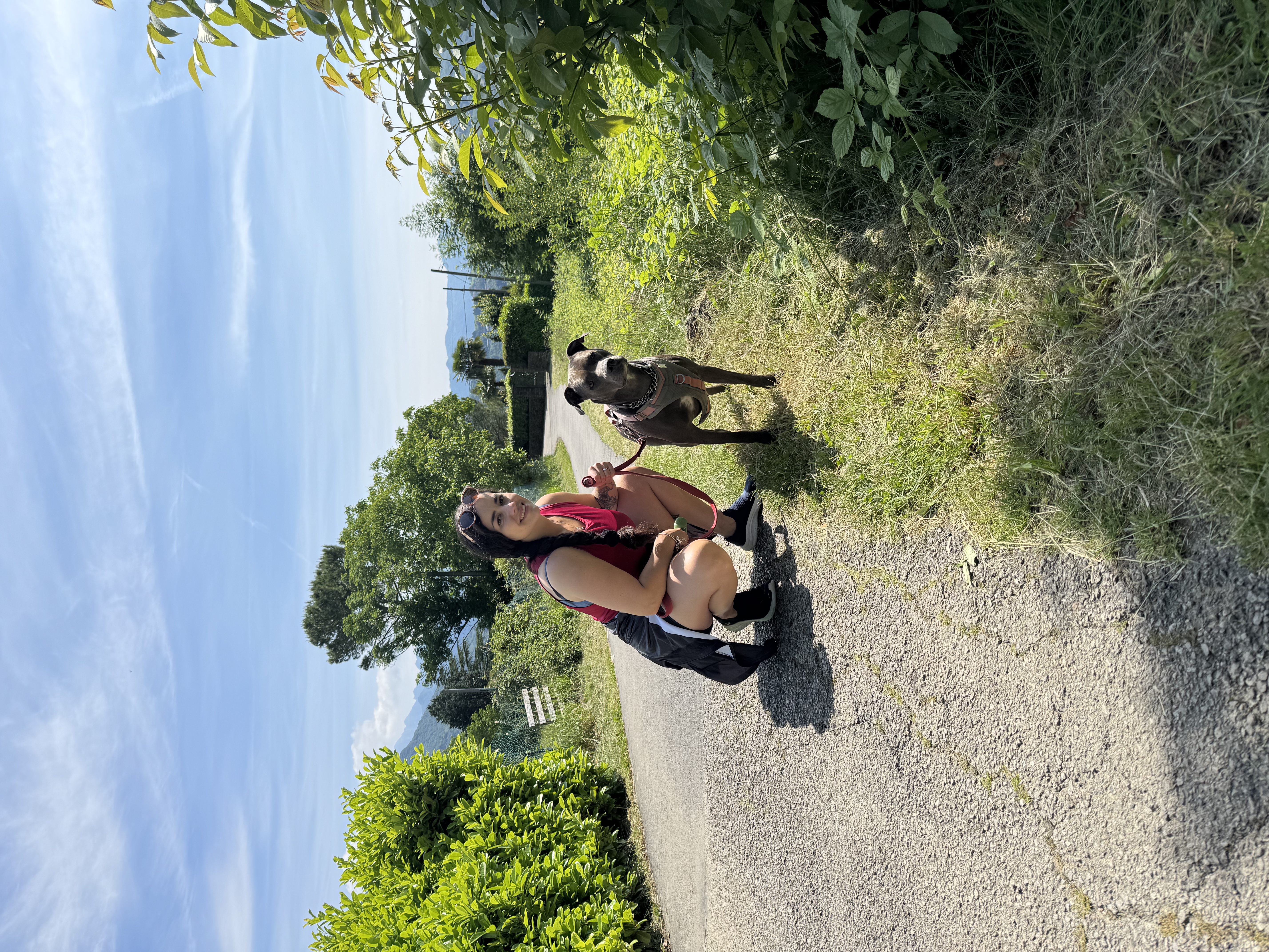image-7