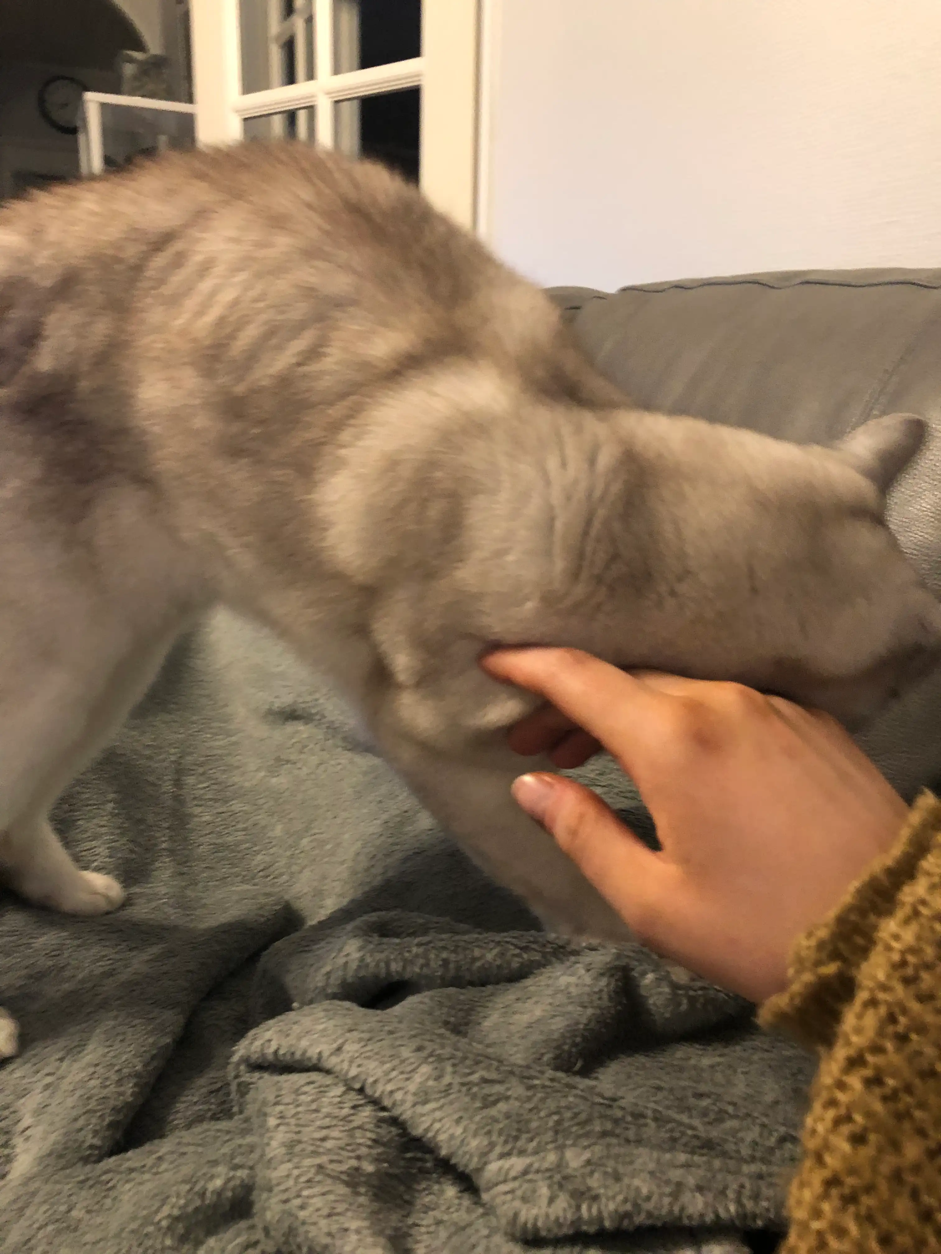 image-9