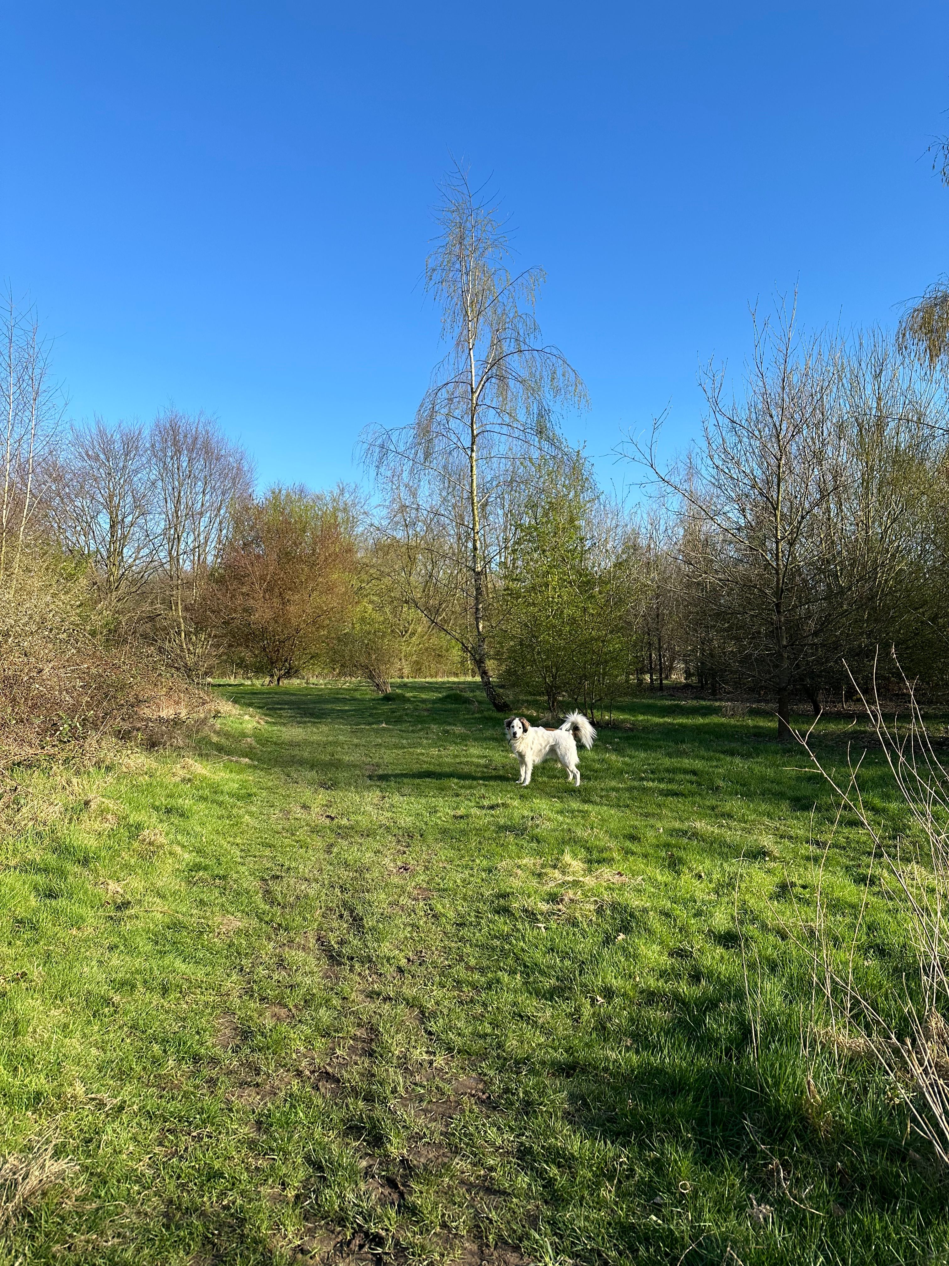 image-16