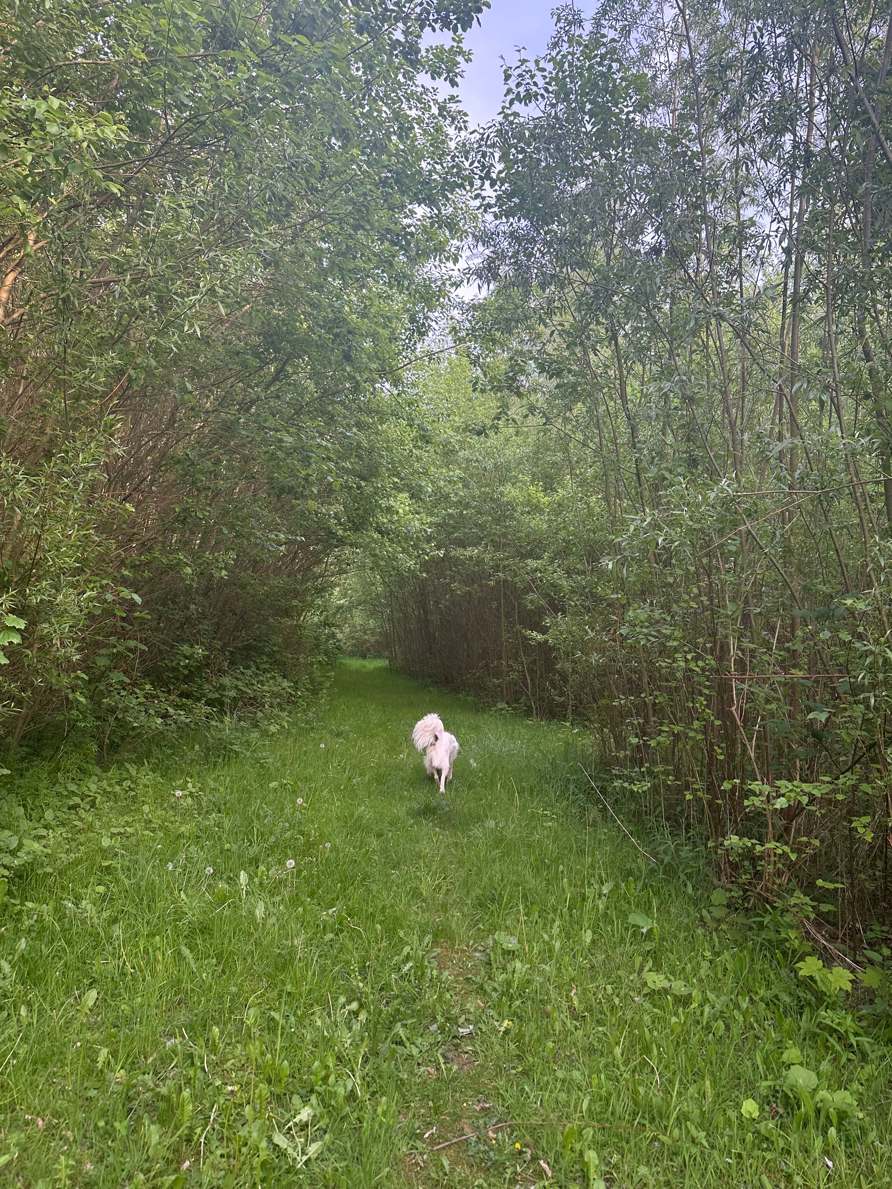 image-20