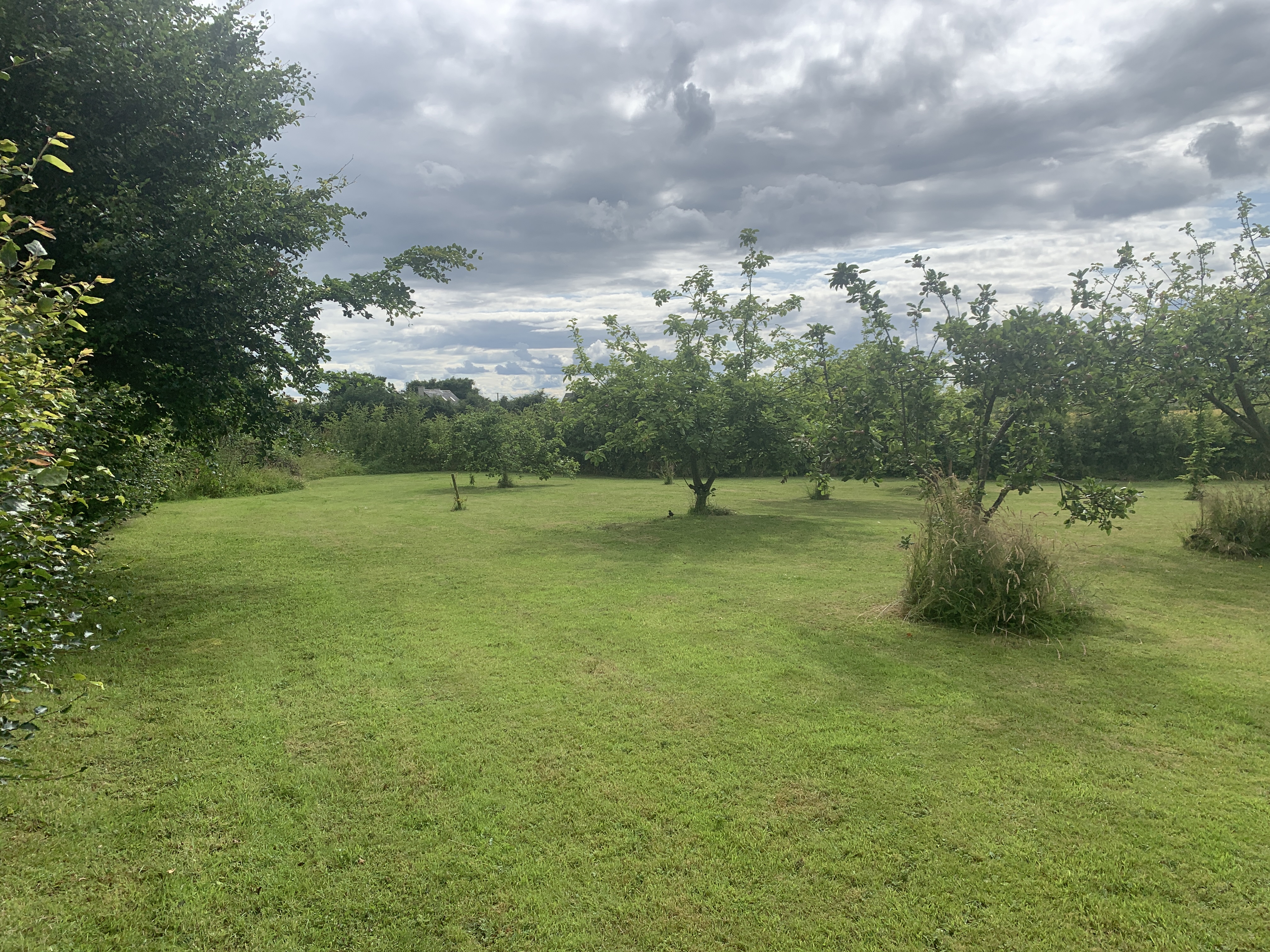 image-19