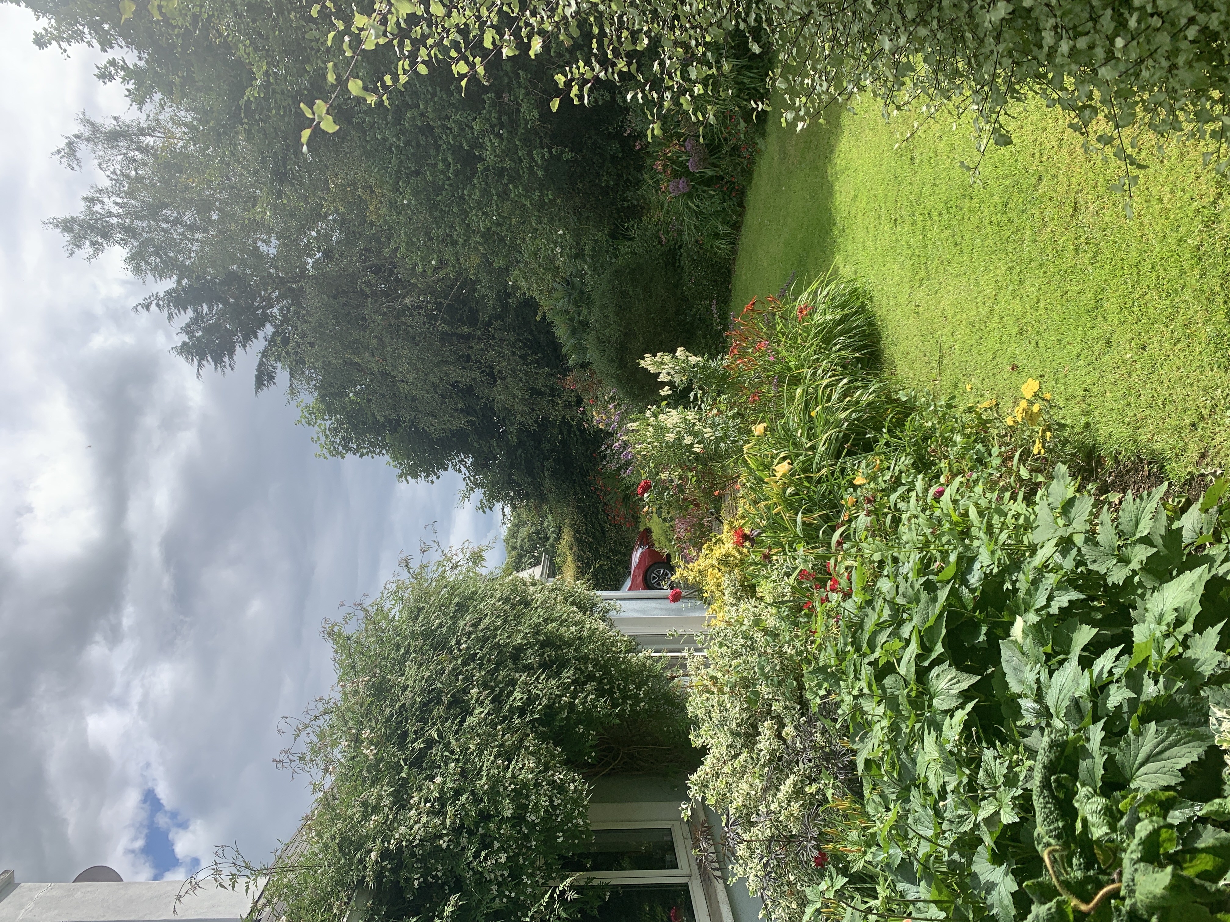 image-22