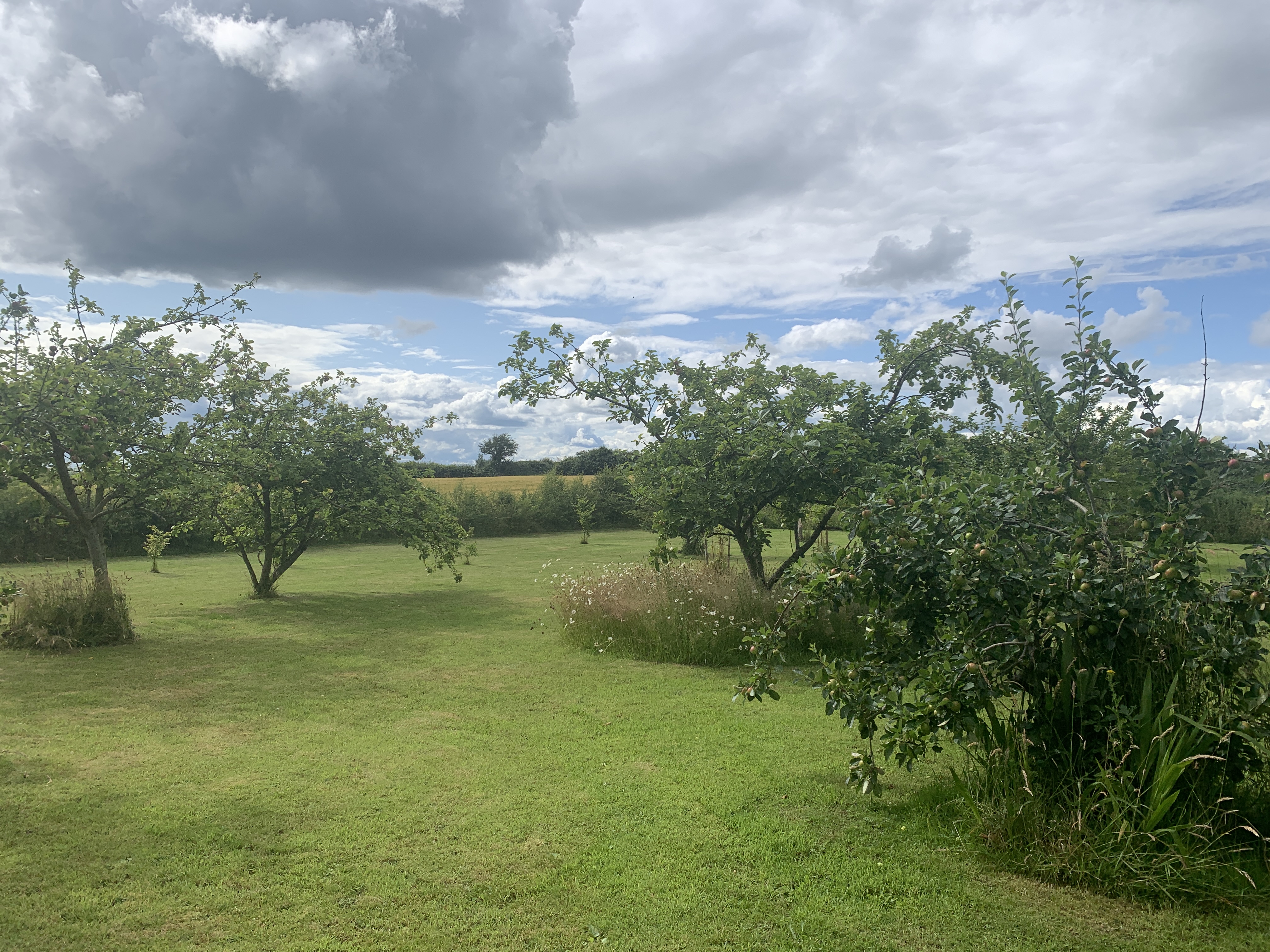 image-20