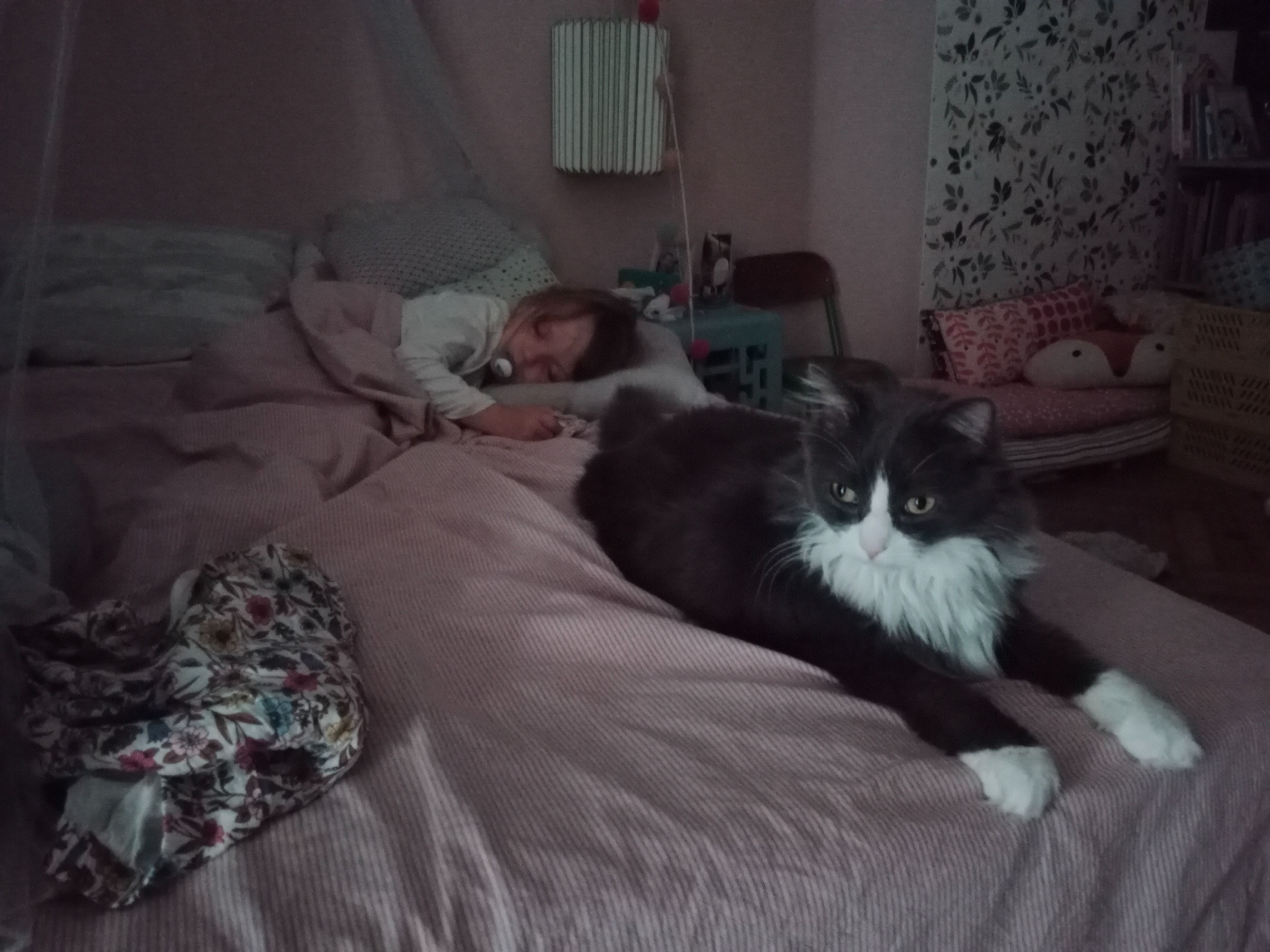 image-4