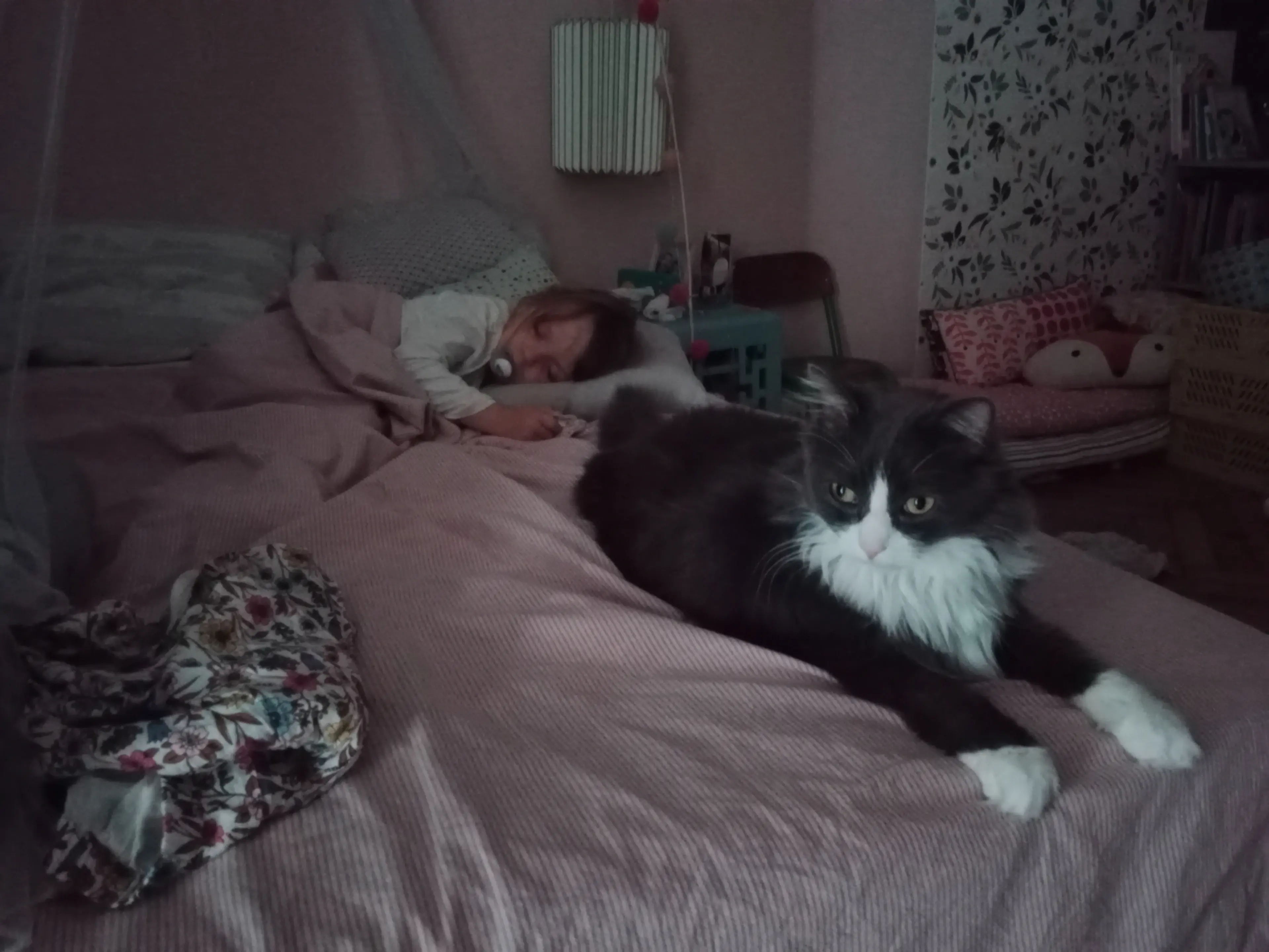 image-4