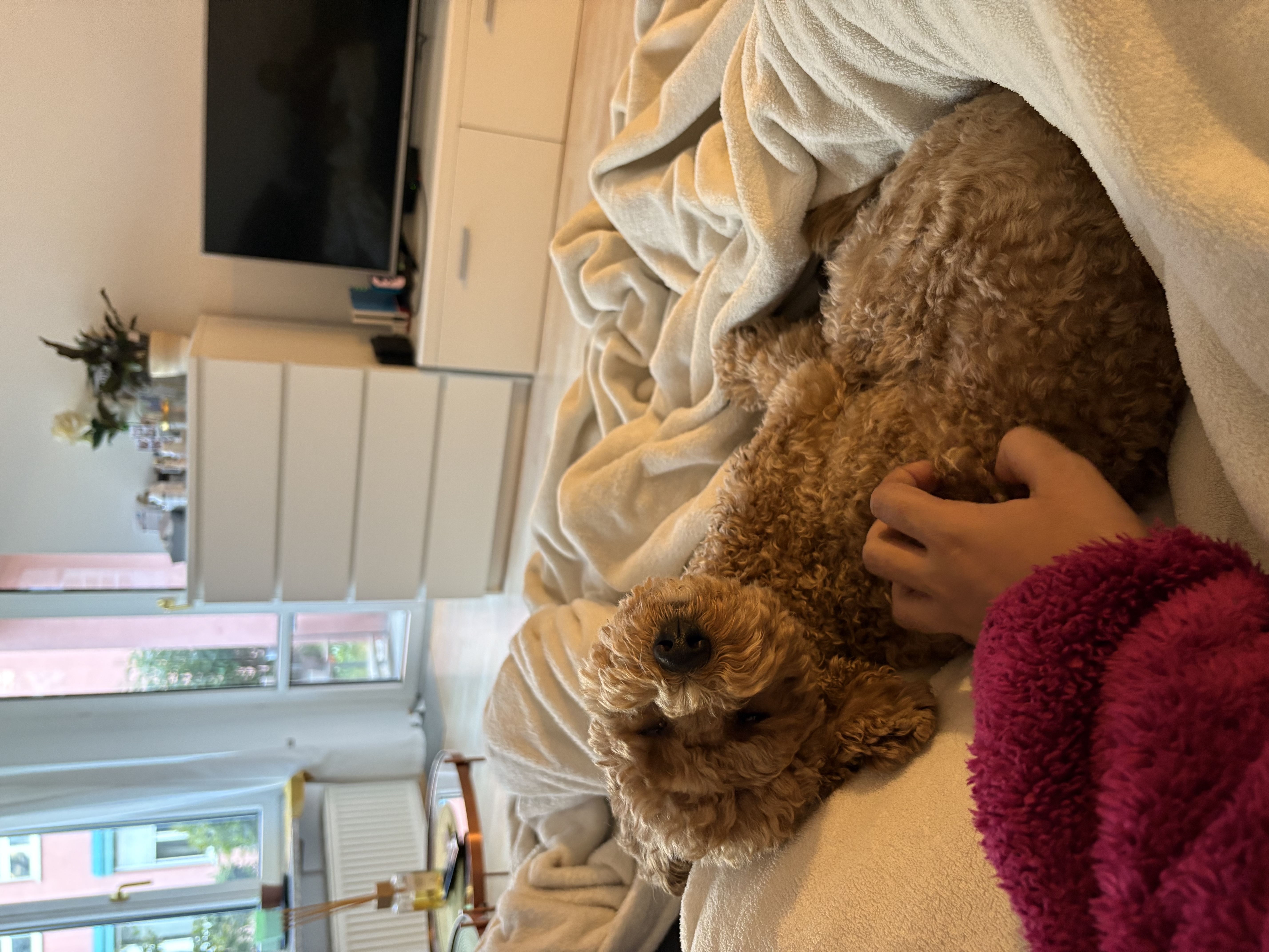 image-12