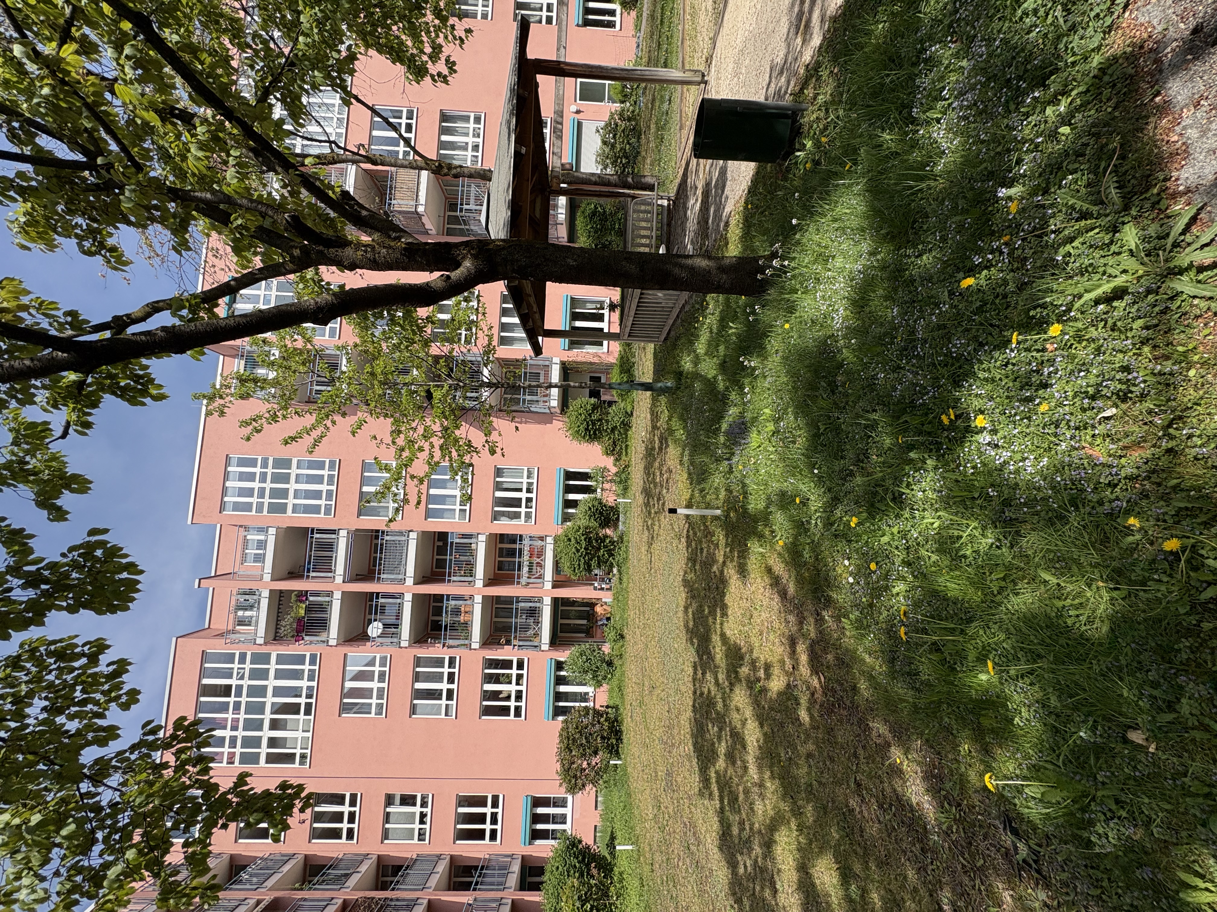 image-27