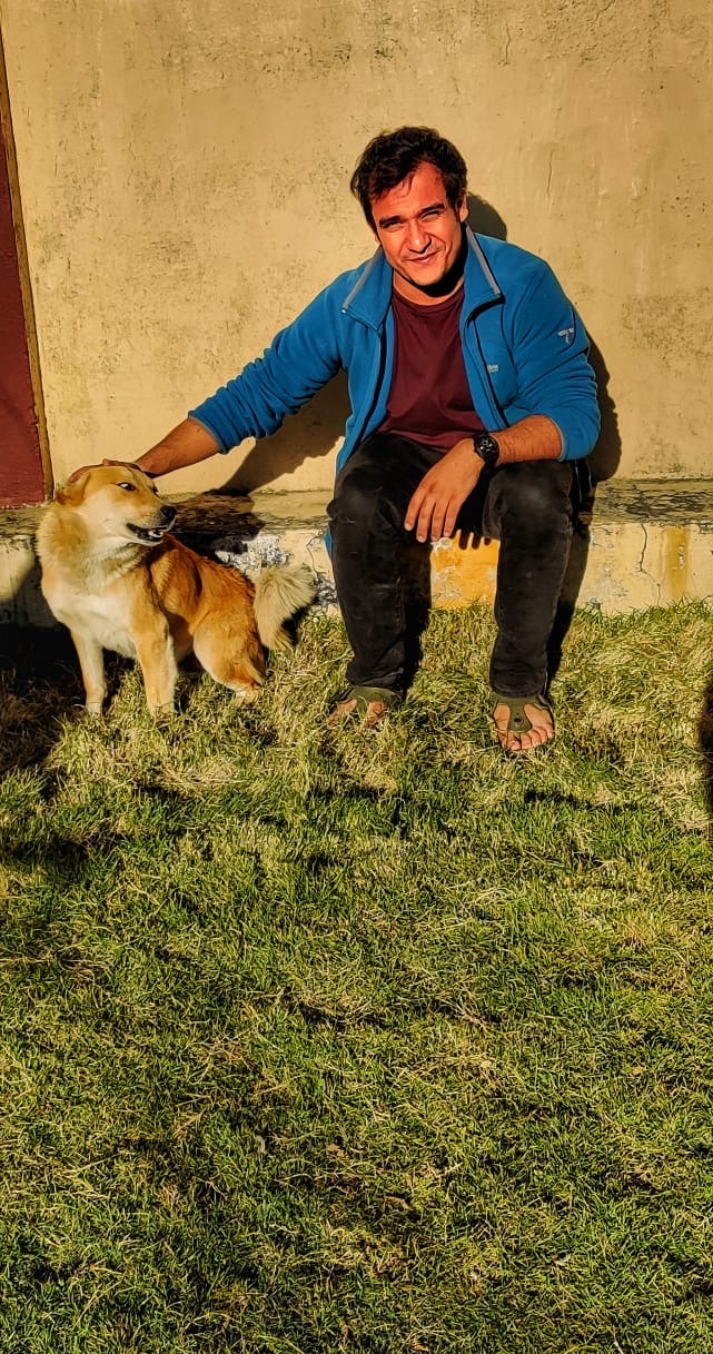 image-8