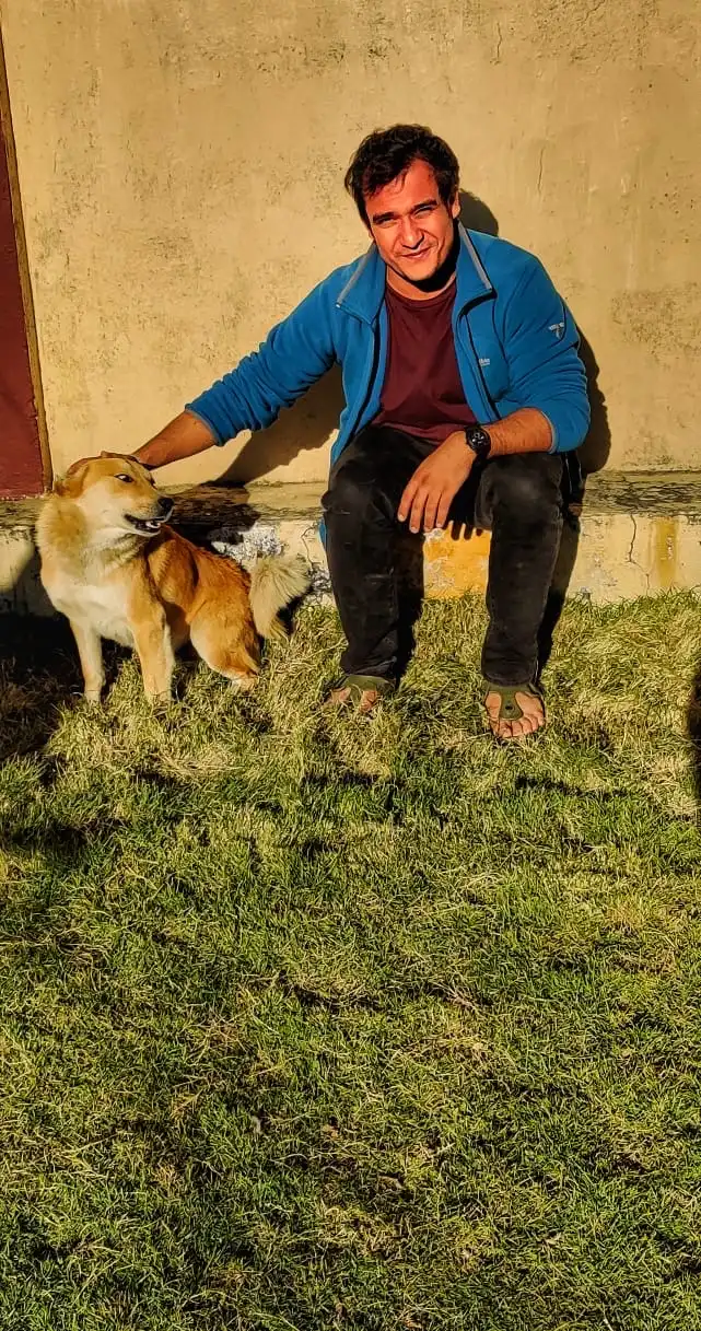 image-8