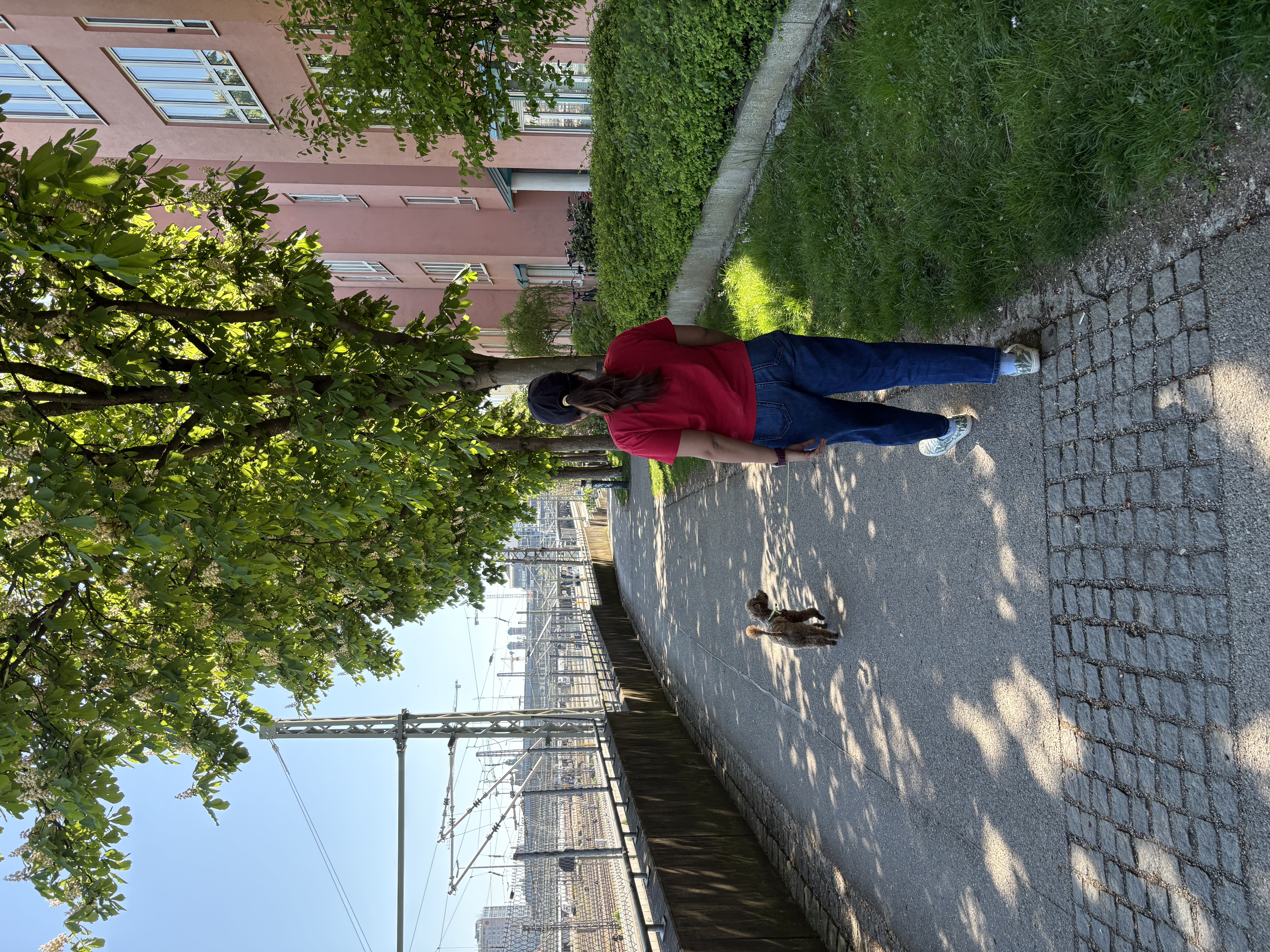 image-11