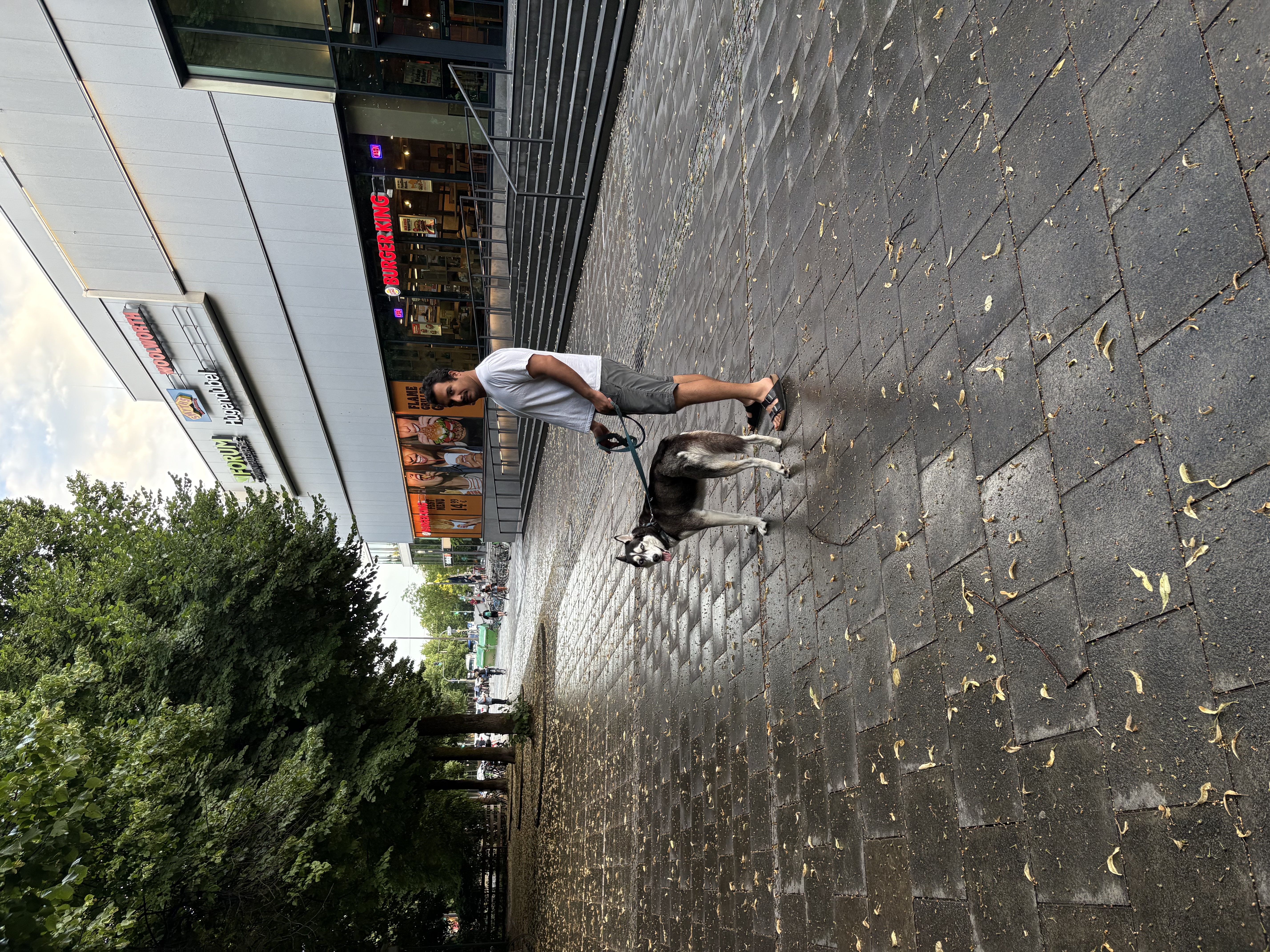 image-16