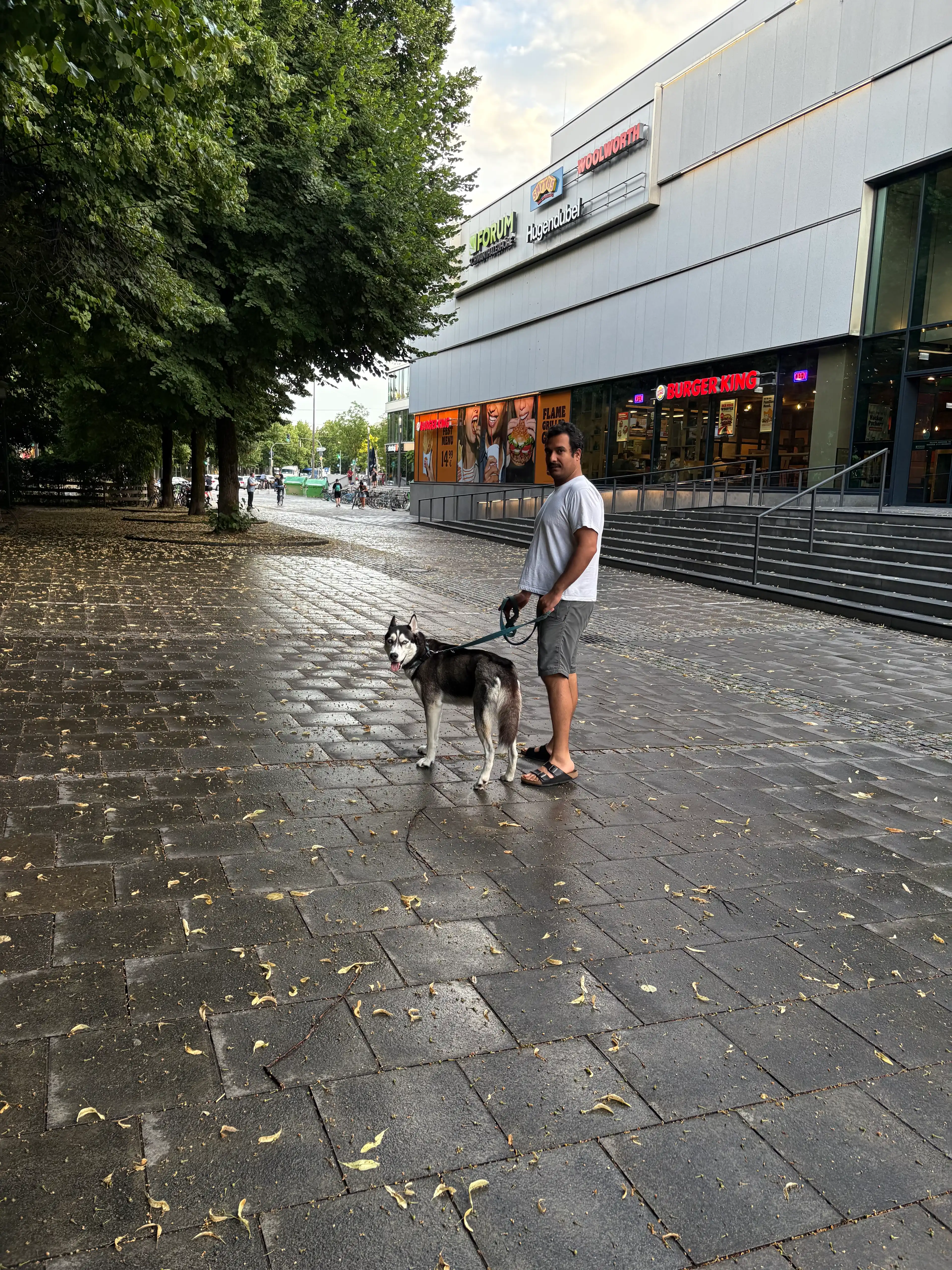 image-16