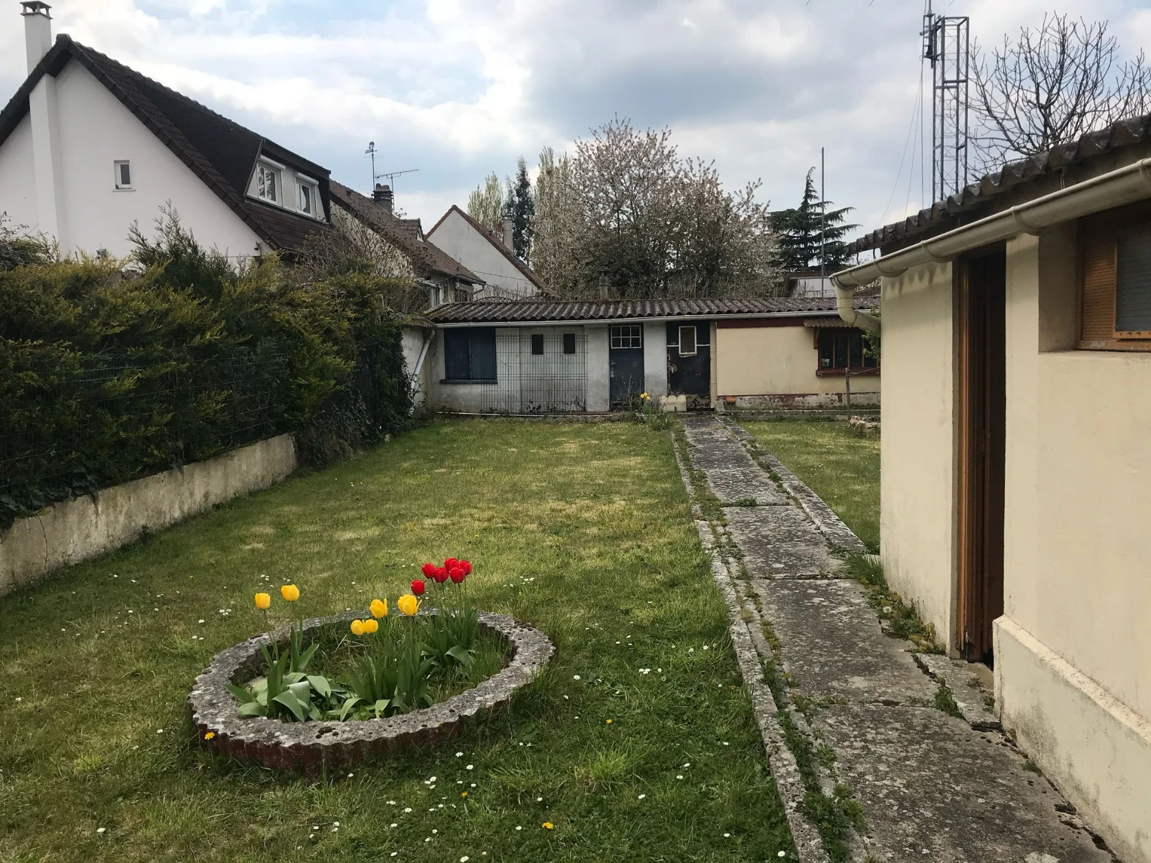 image-11
