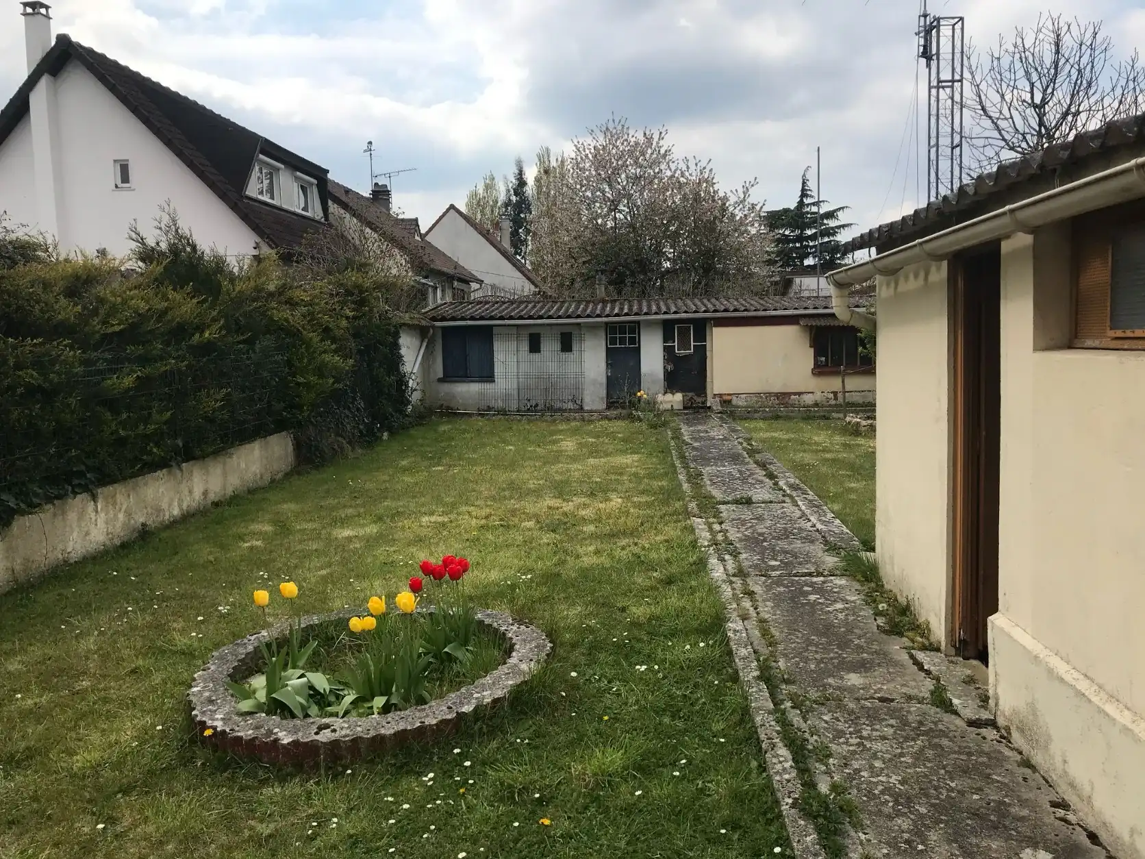 image-11