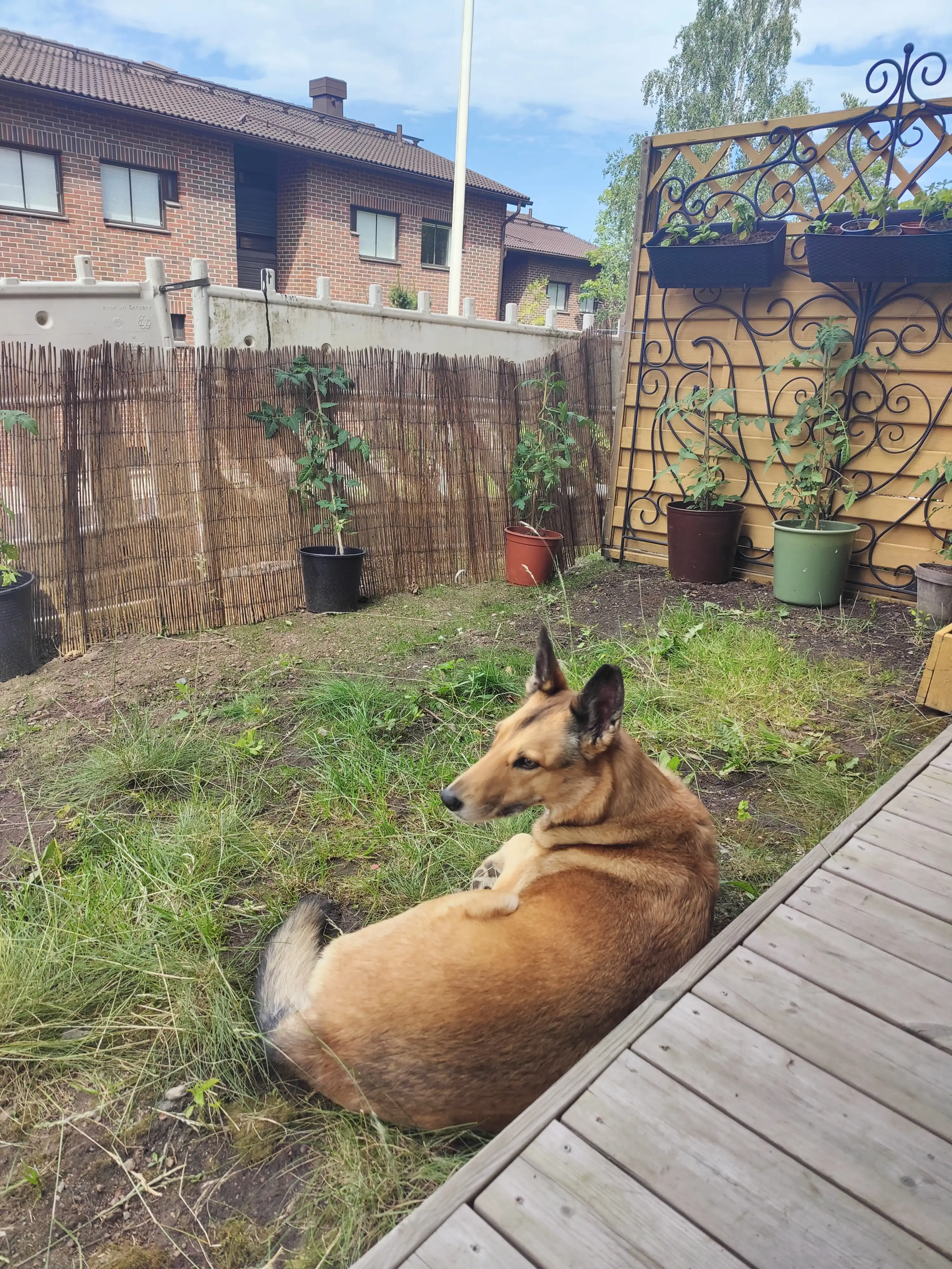image-16