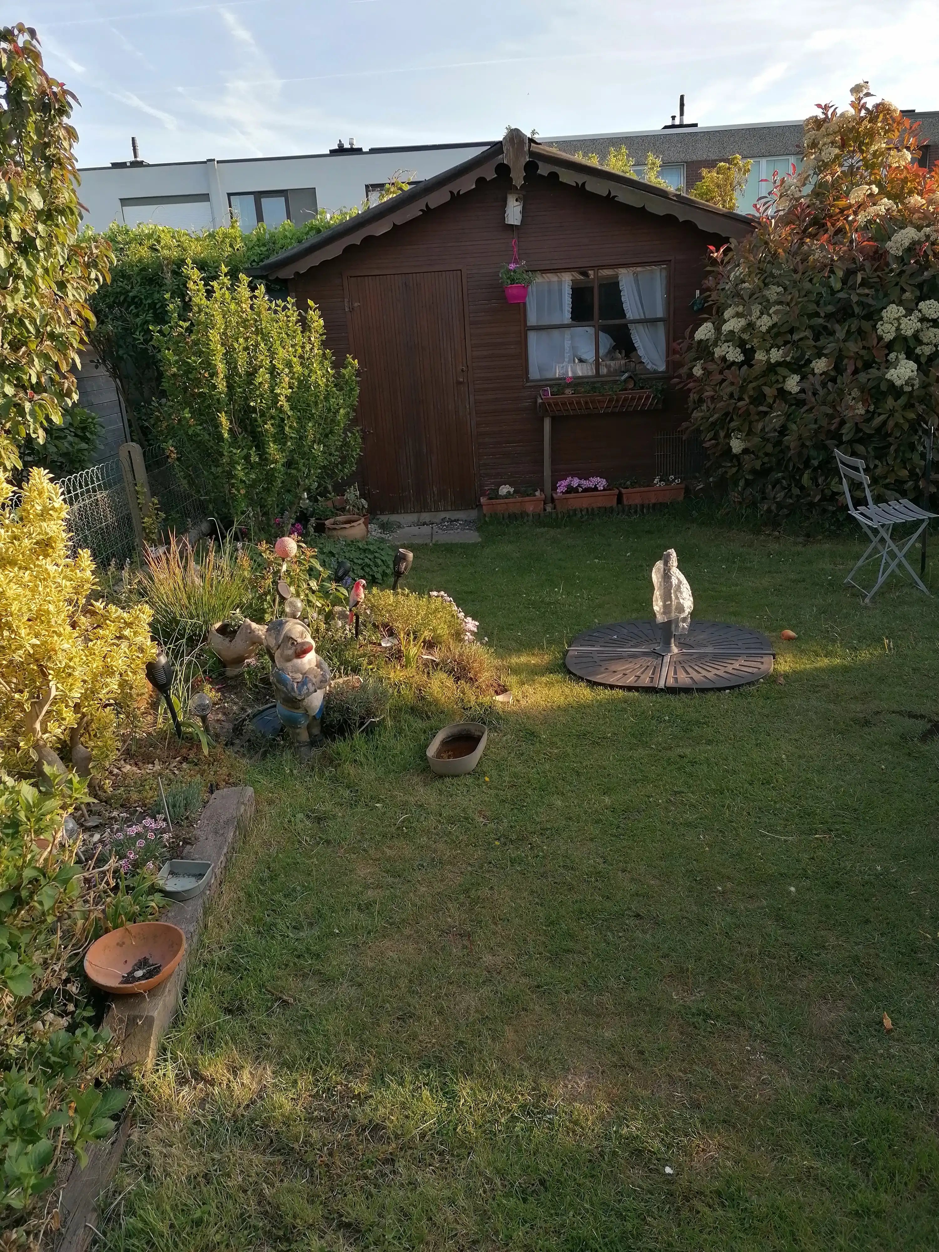 image-13