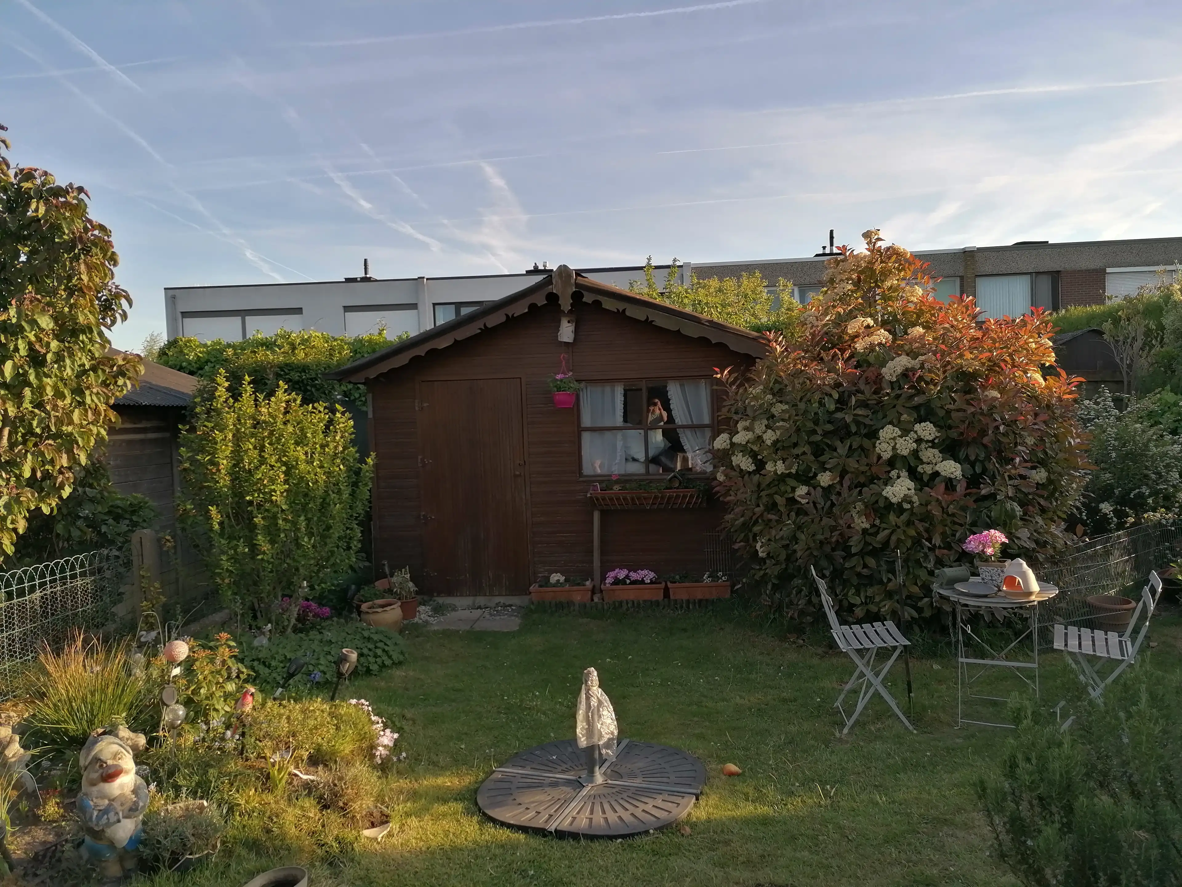 image-14