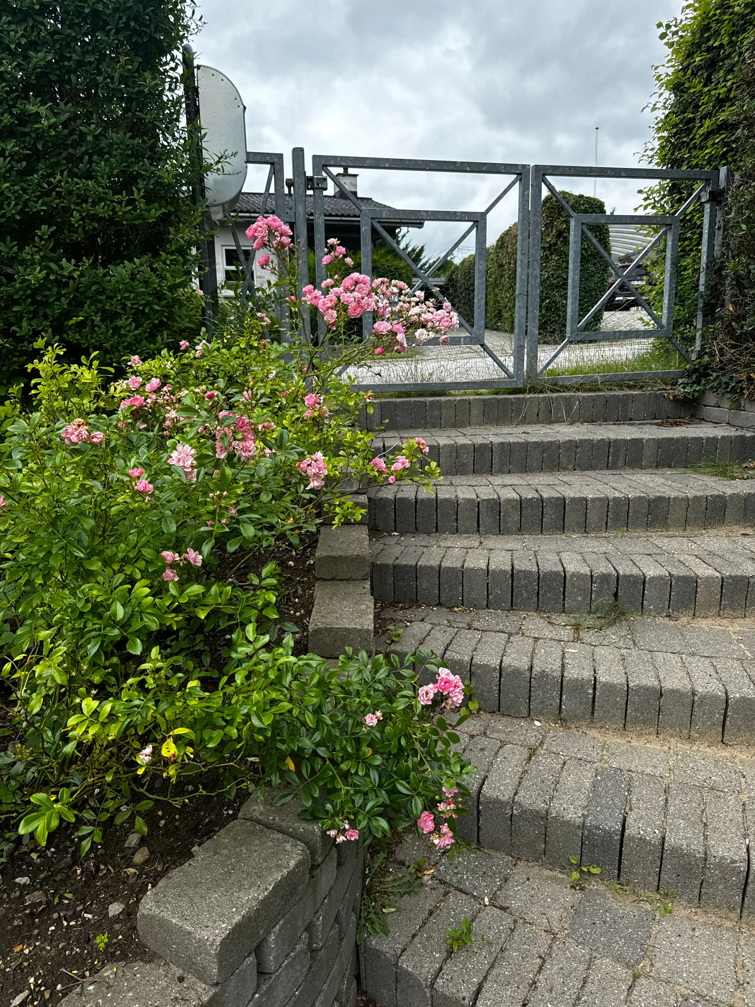 image-14