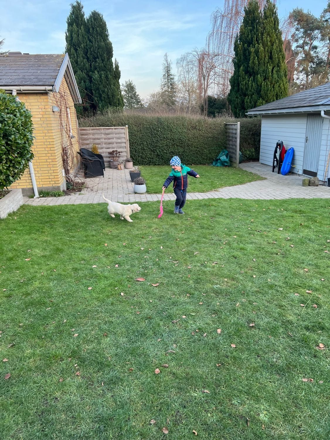 image-10