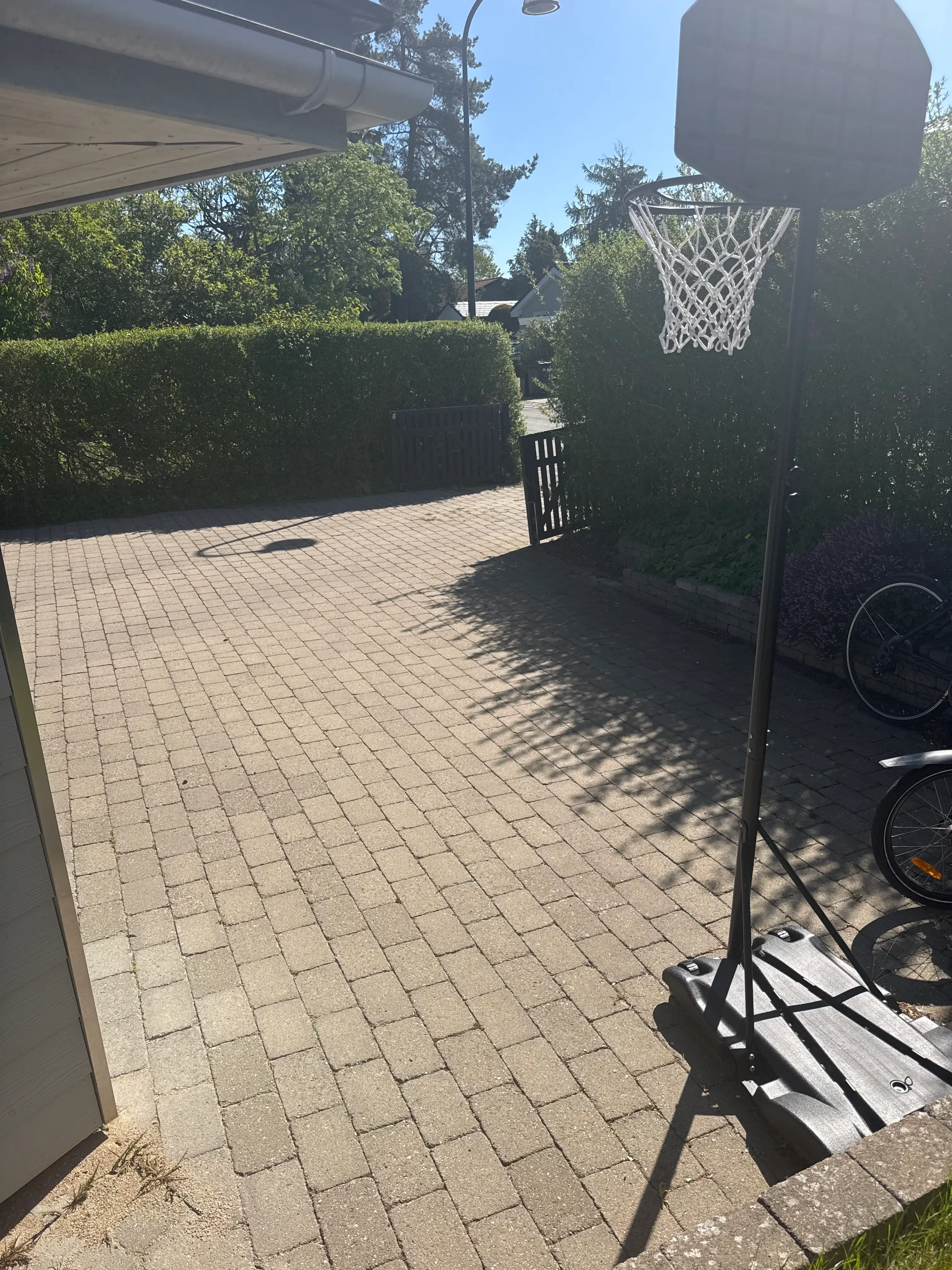 image-19