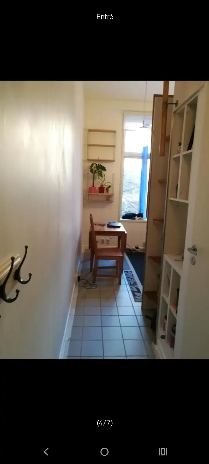 image-16