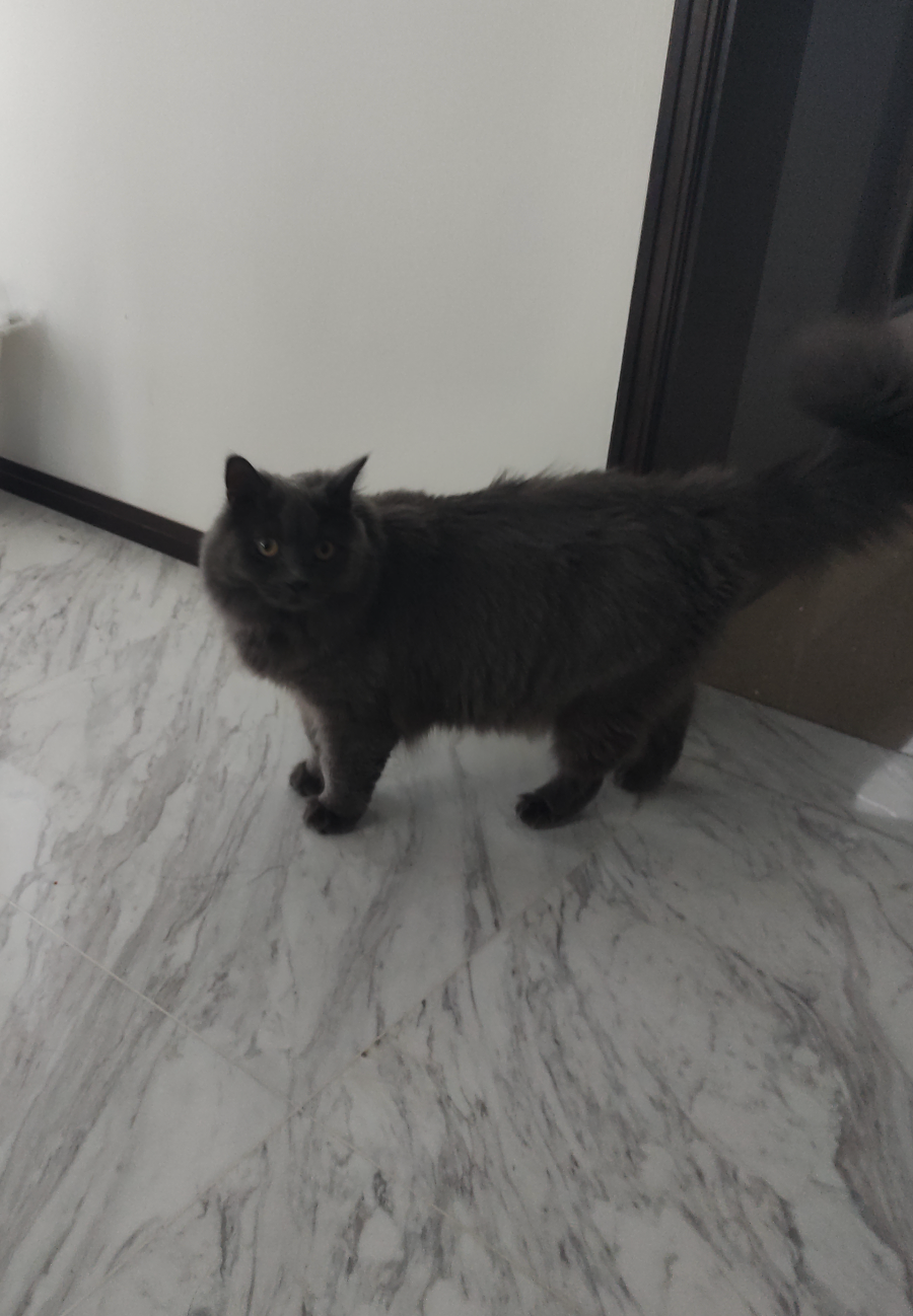 image-12