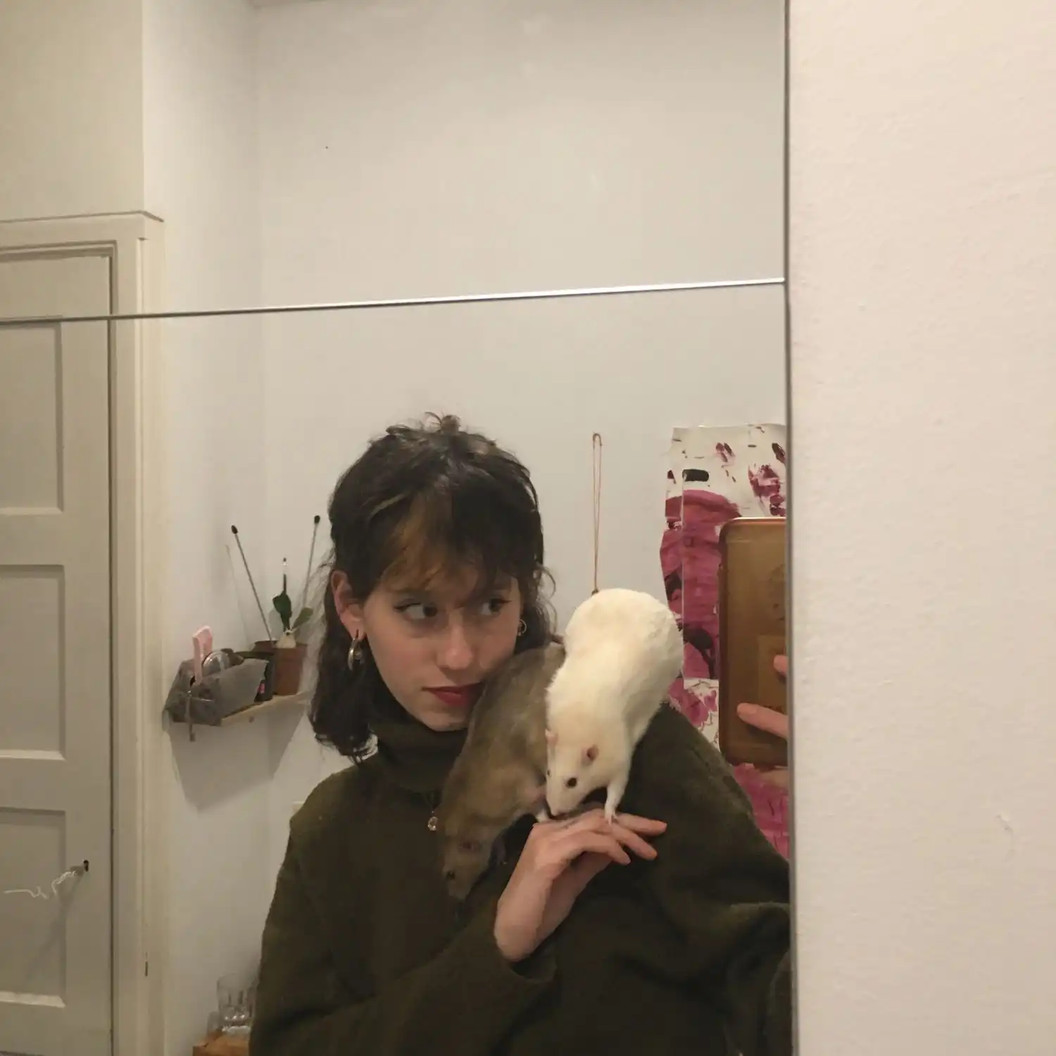 image-5