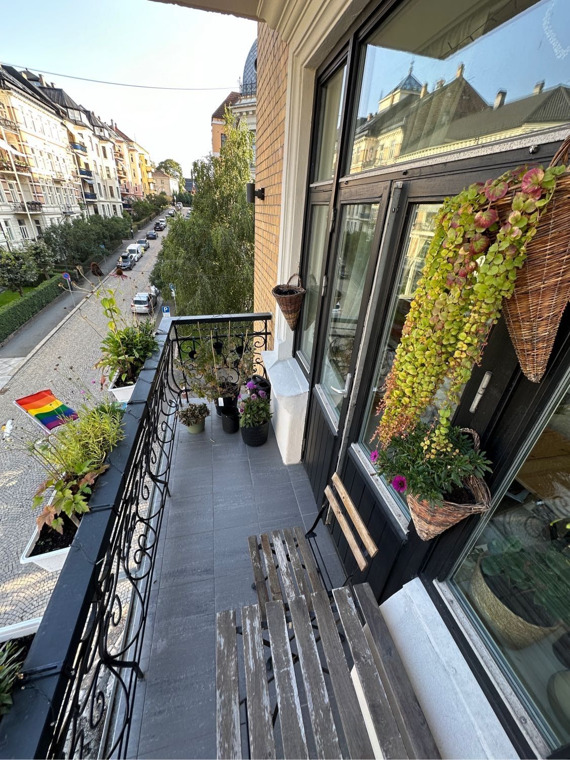 image-7