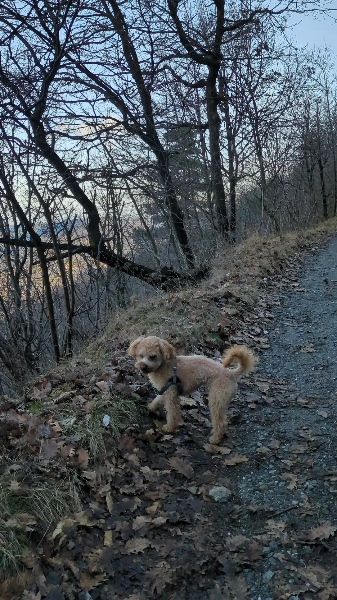 image-6