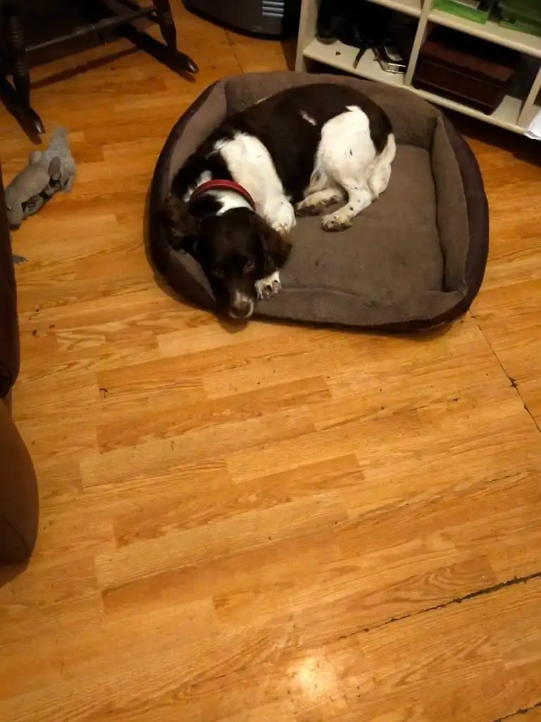image-18